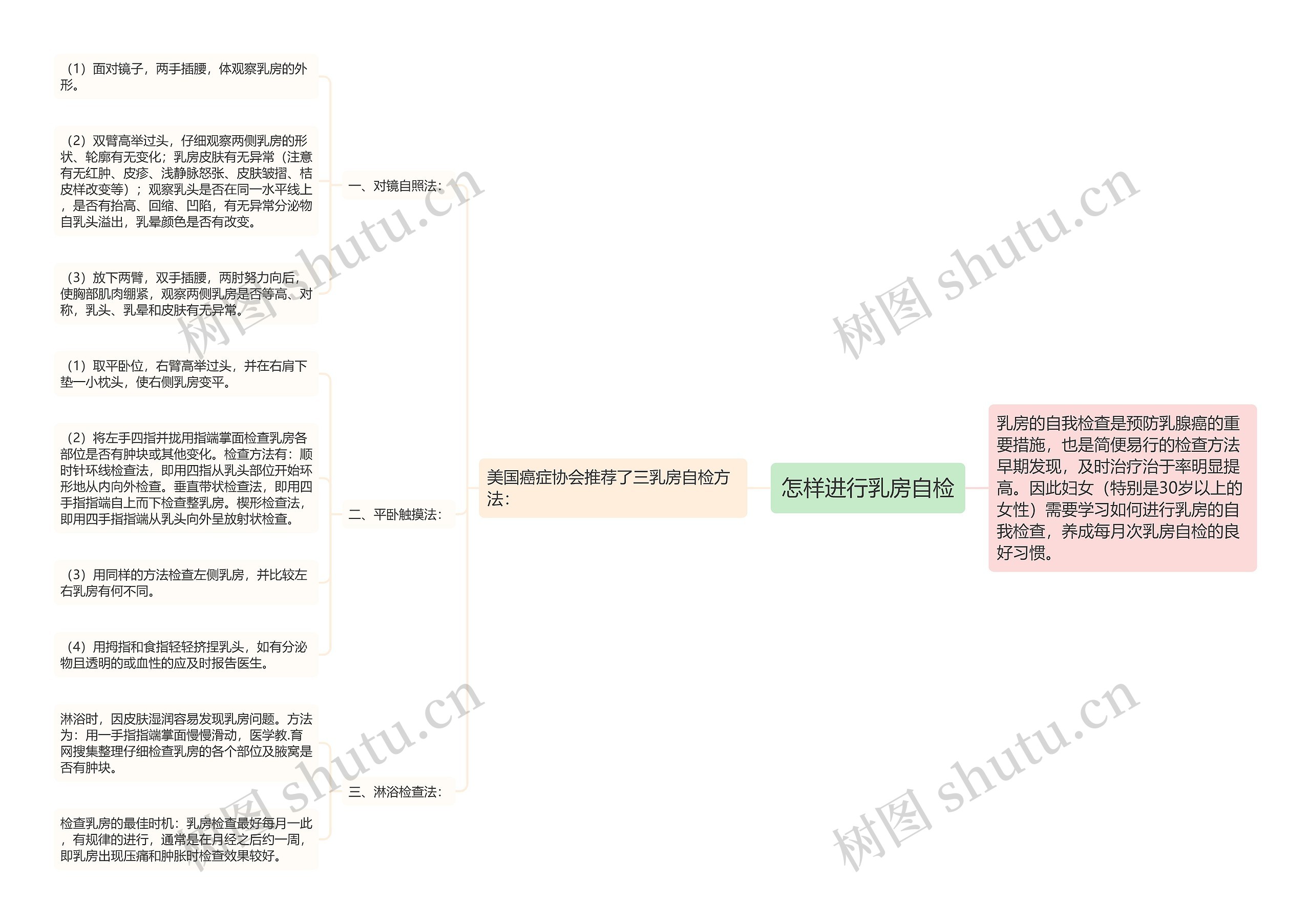 怎样进行乳房自检思维导图