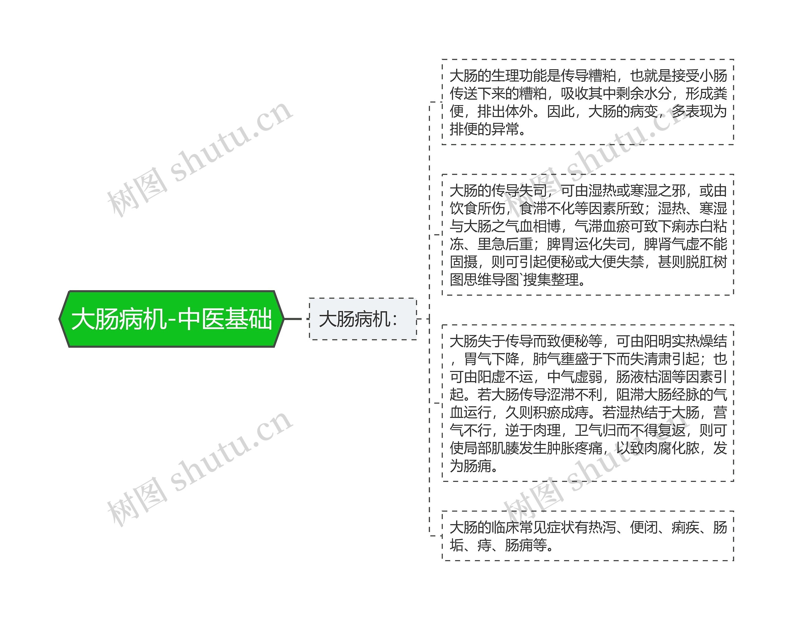 大肠病机-中医基础思维导图