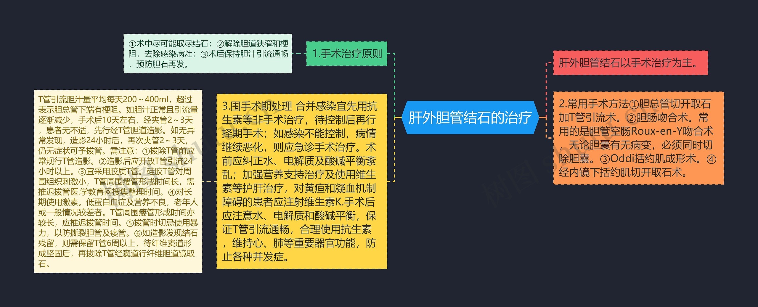 肝外胆管结石的治疗