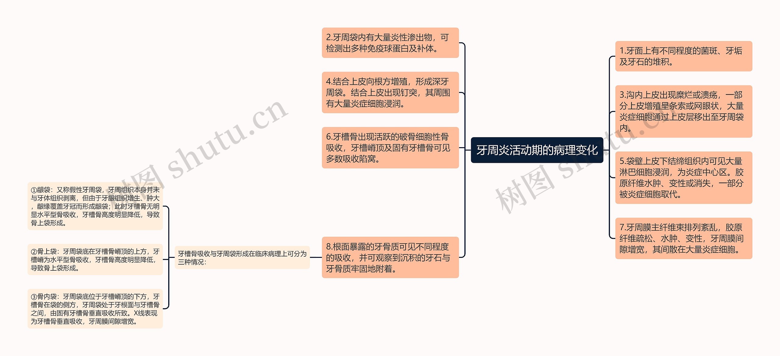 牙周炎活动期的病理变化思维导图
