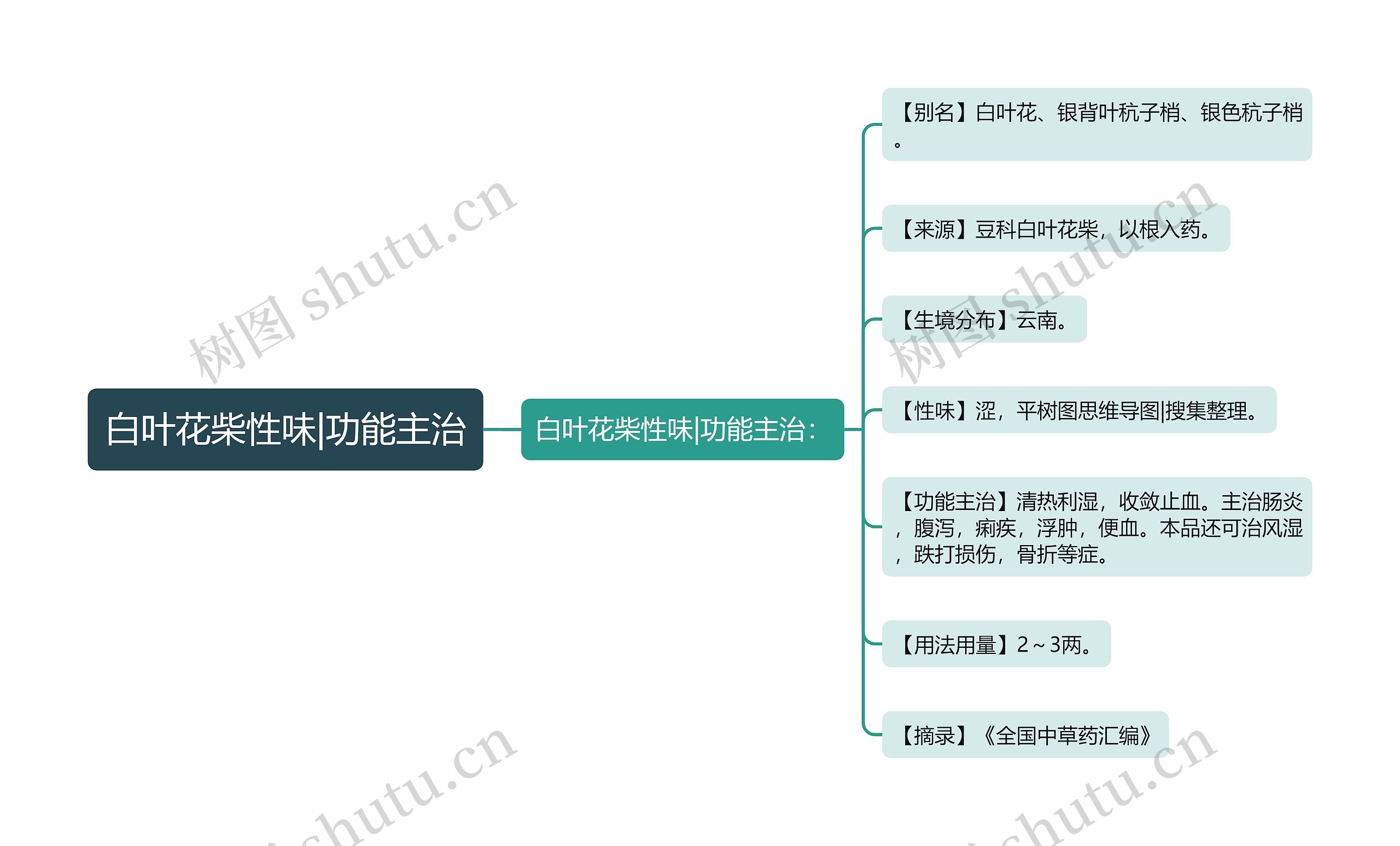 白叶花柴性味|功能主治思维导图