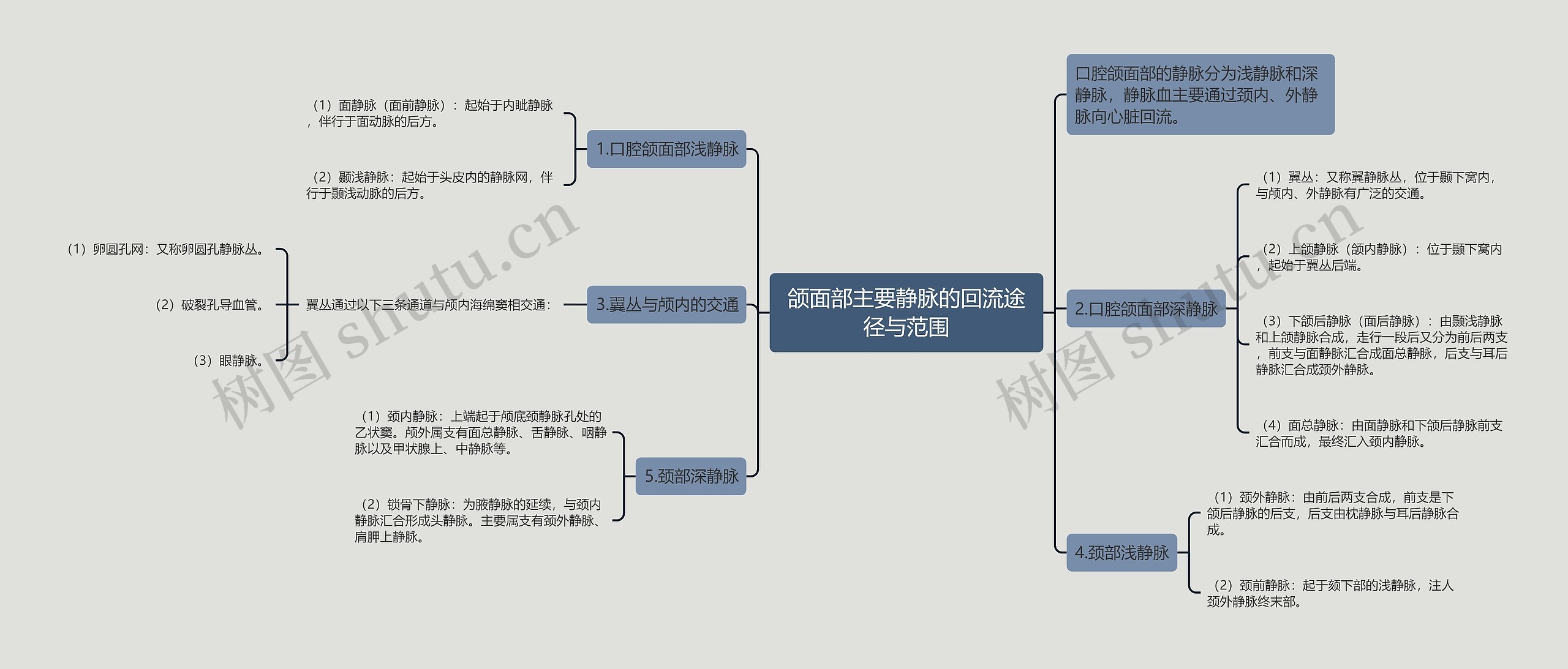 颌面部主要静脉的回流途径与范围 颌面部主要静脉的回流途径与范围