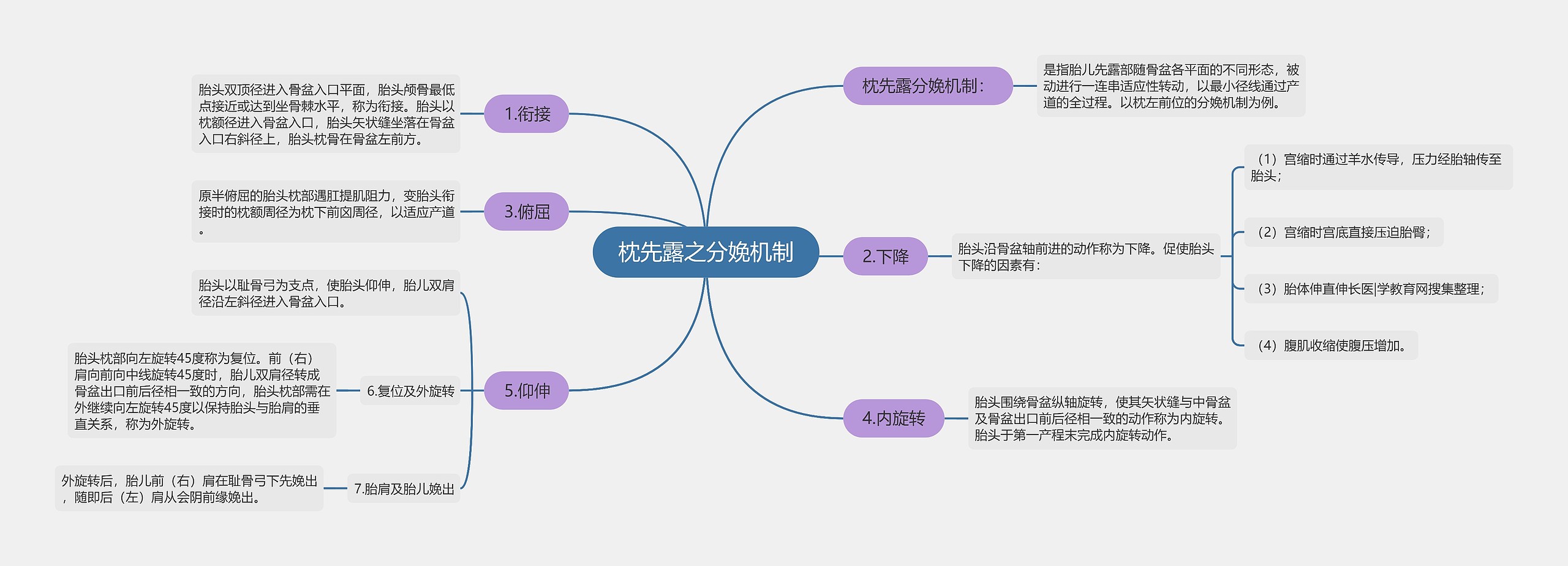 枕先露之分娩机制