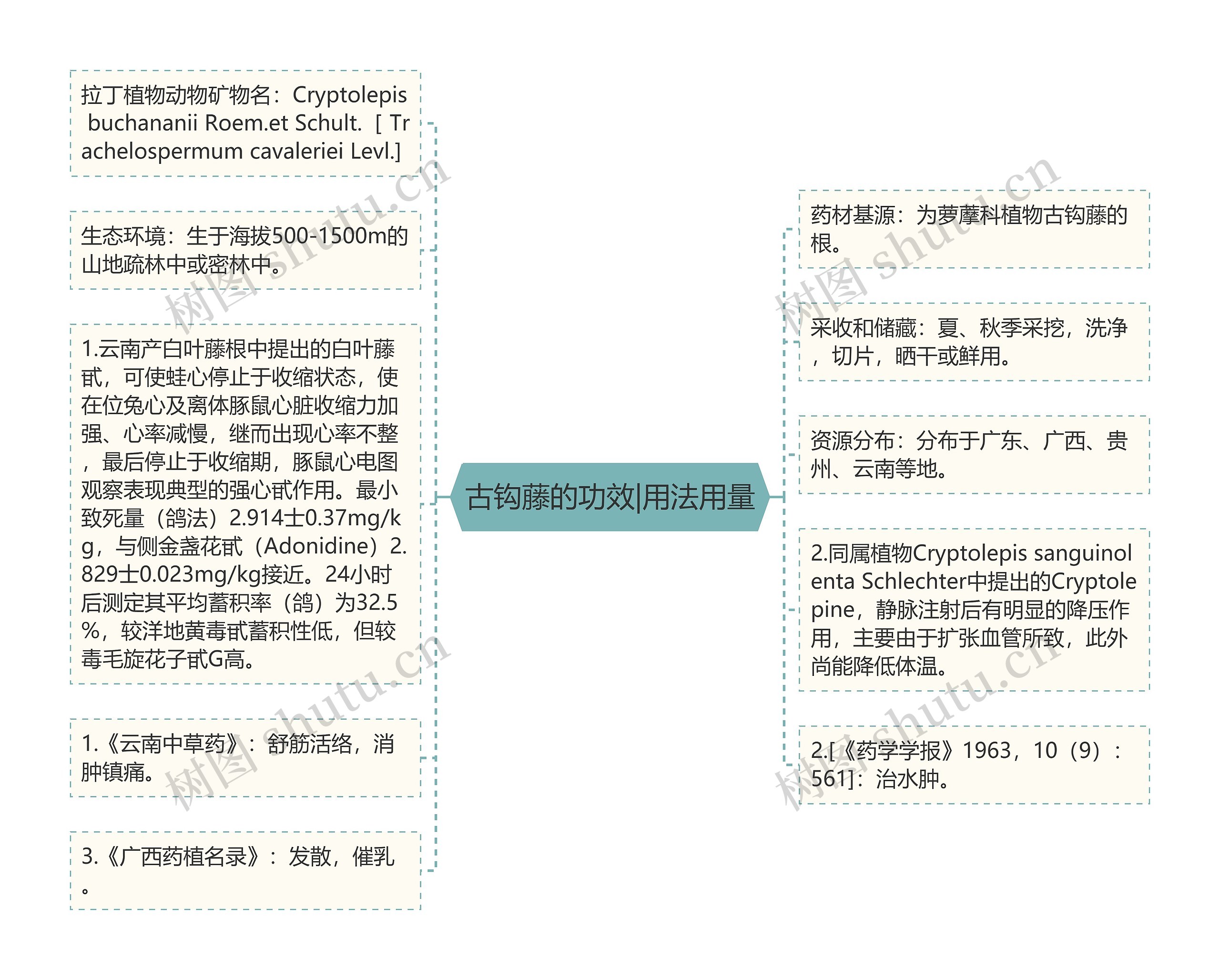 古钩藤的功效|用法用量思维导图