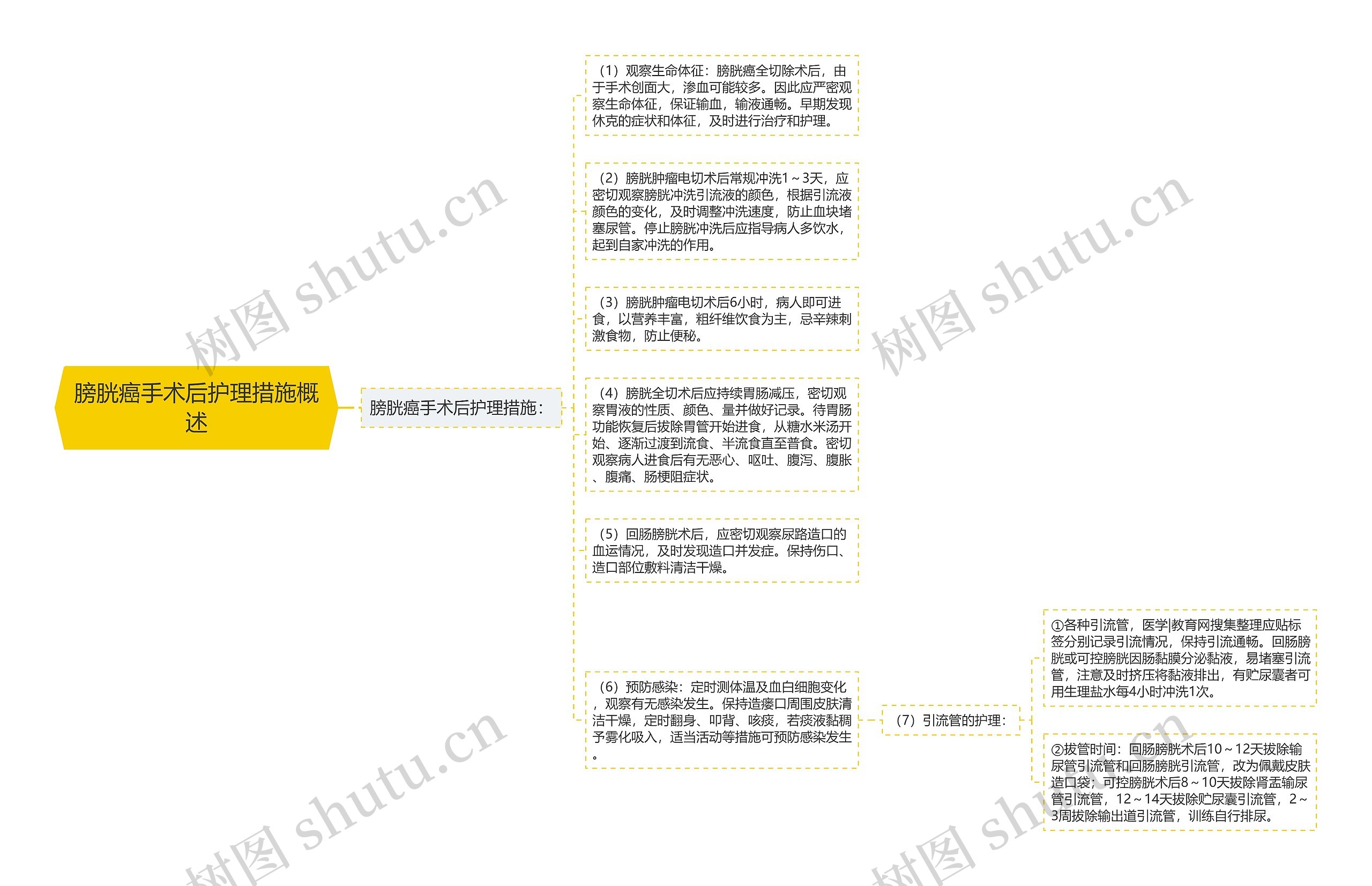 膀胱癌手术后护理措施概述思维导图