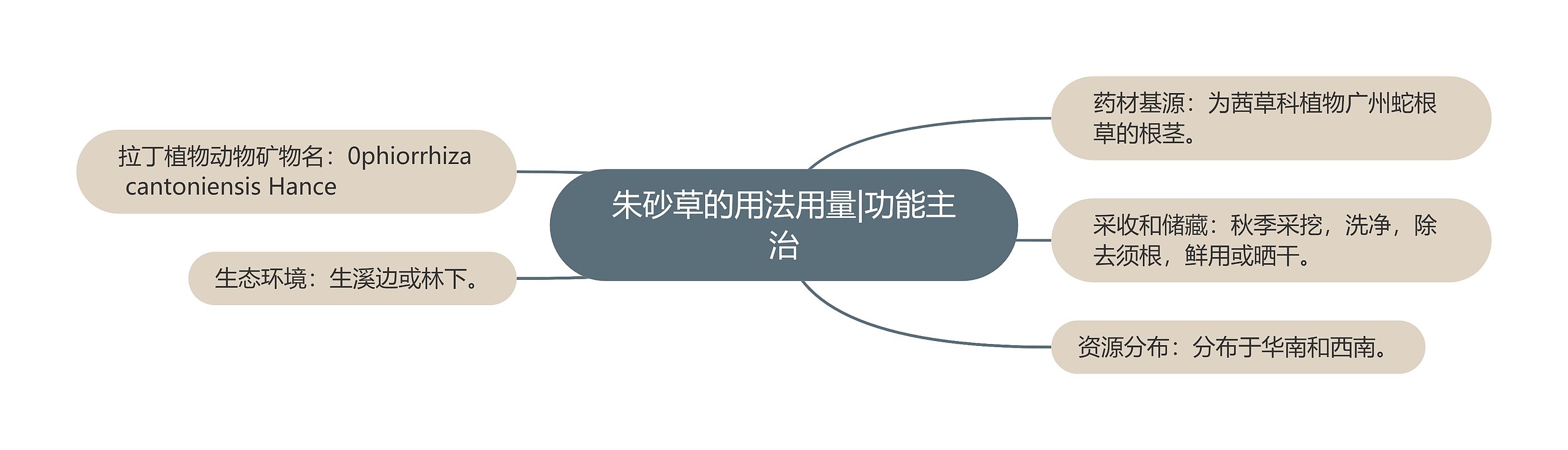 朱砂草的用法用量|功能主治 朱砂草的用法用量|功能主治