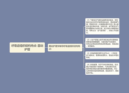 呼吸道组织结构特点-基础护理