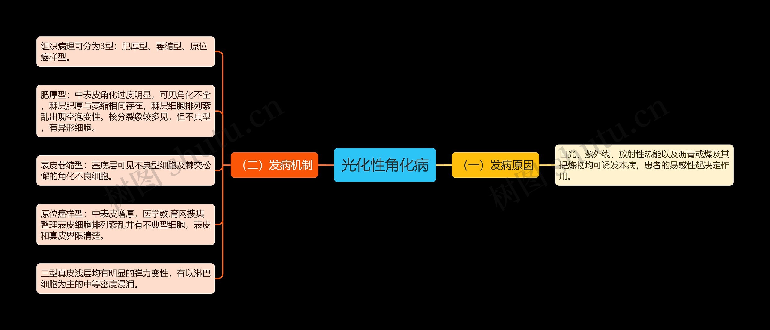 光化性角化病思维导图