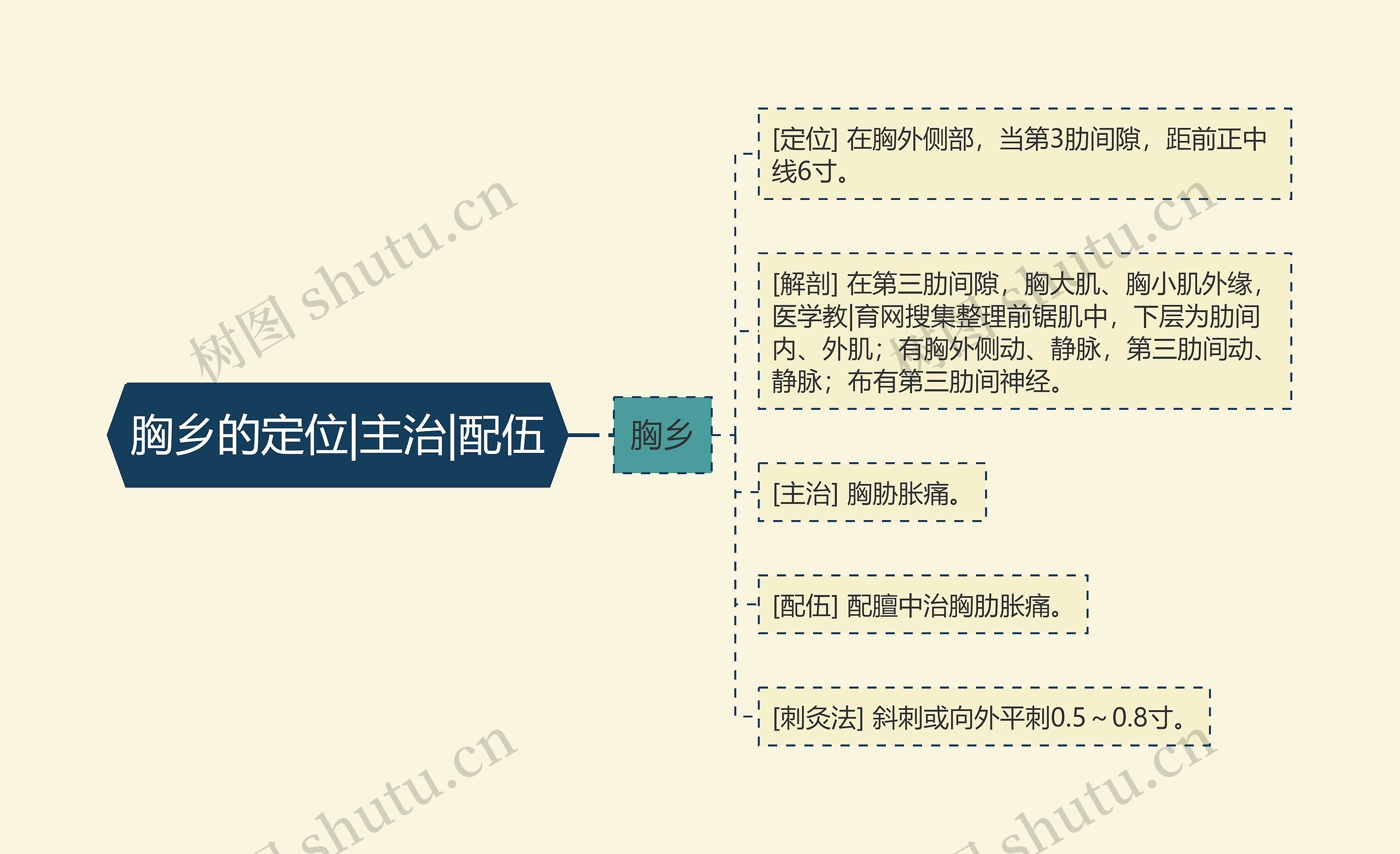 胸乡的定位|主治|配伍 胸乡的定位|主治|配伍