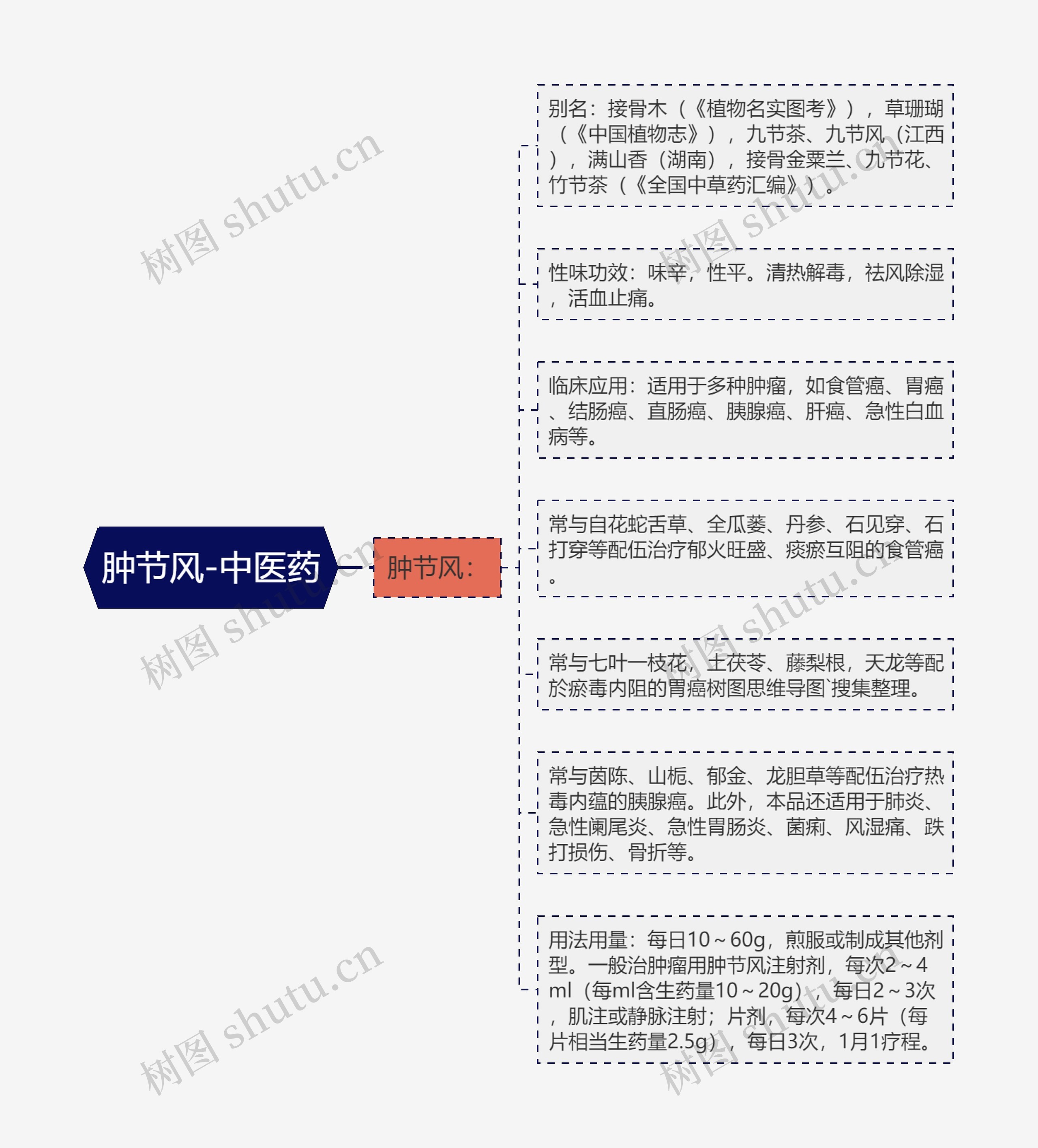 肿节风-中医药思维导图