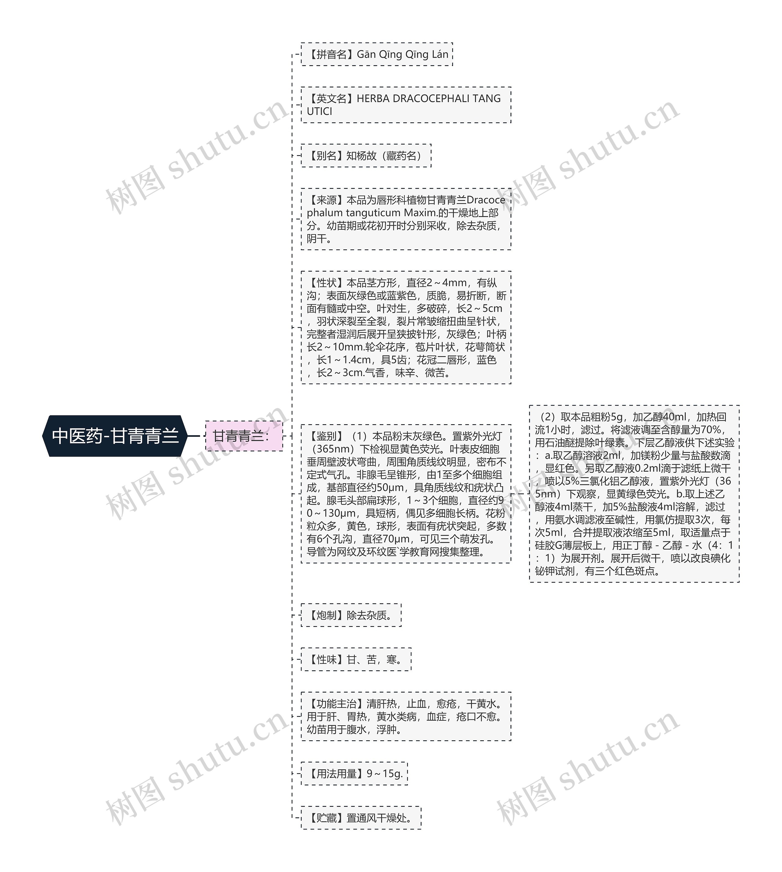 中医药-甘青青兰思维导图