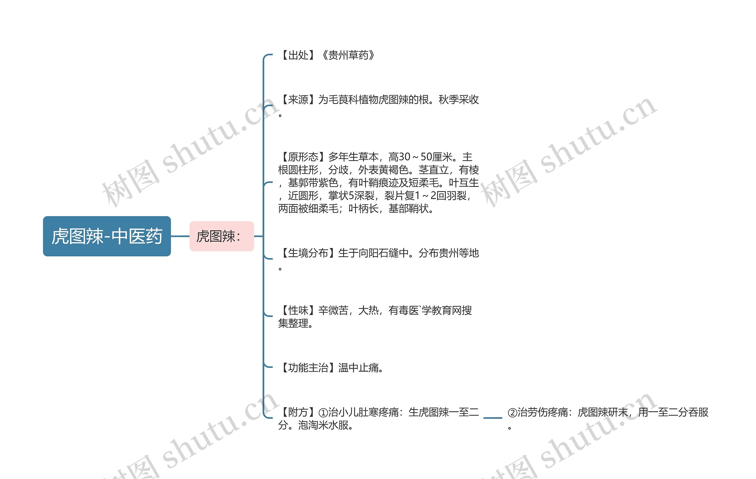 虎图辣-中医药思维导图