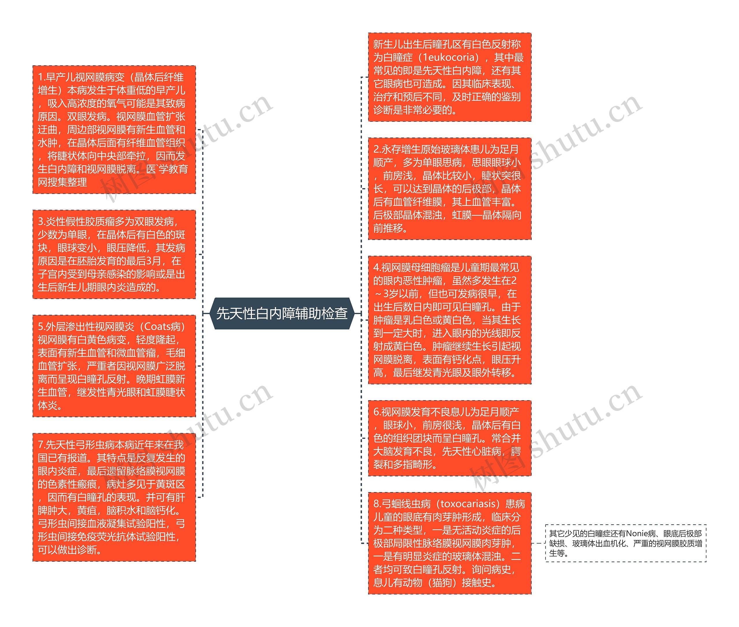 先天性白内障辅助检查