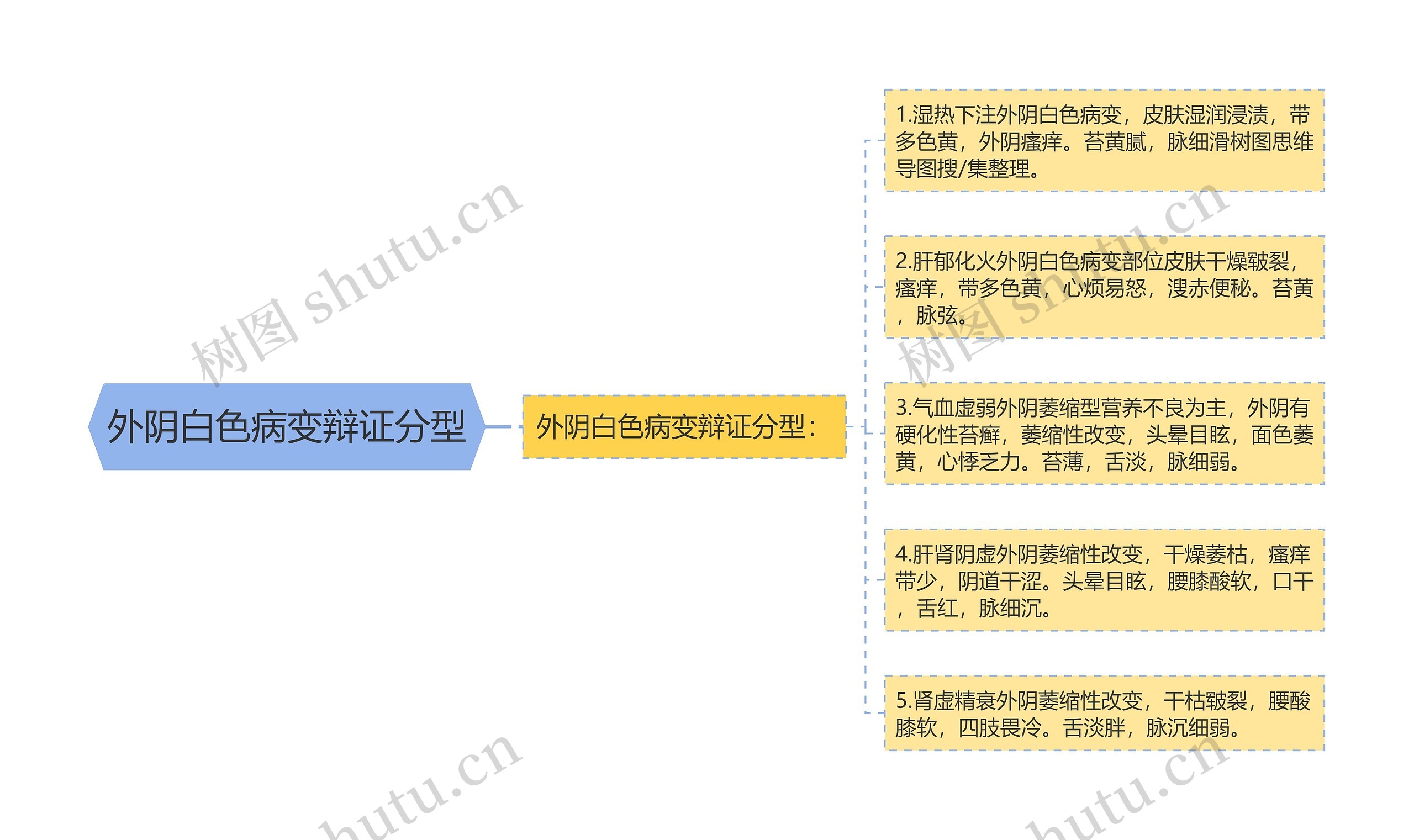 外阴白色病变辩证分型思维导图