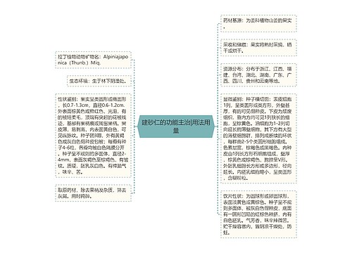 建砂仁的功能主治|用法用量