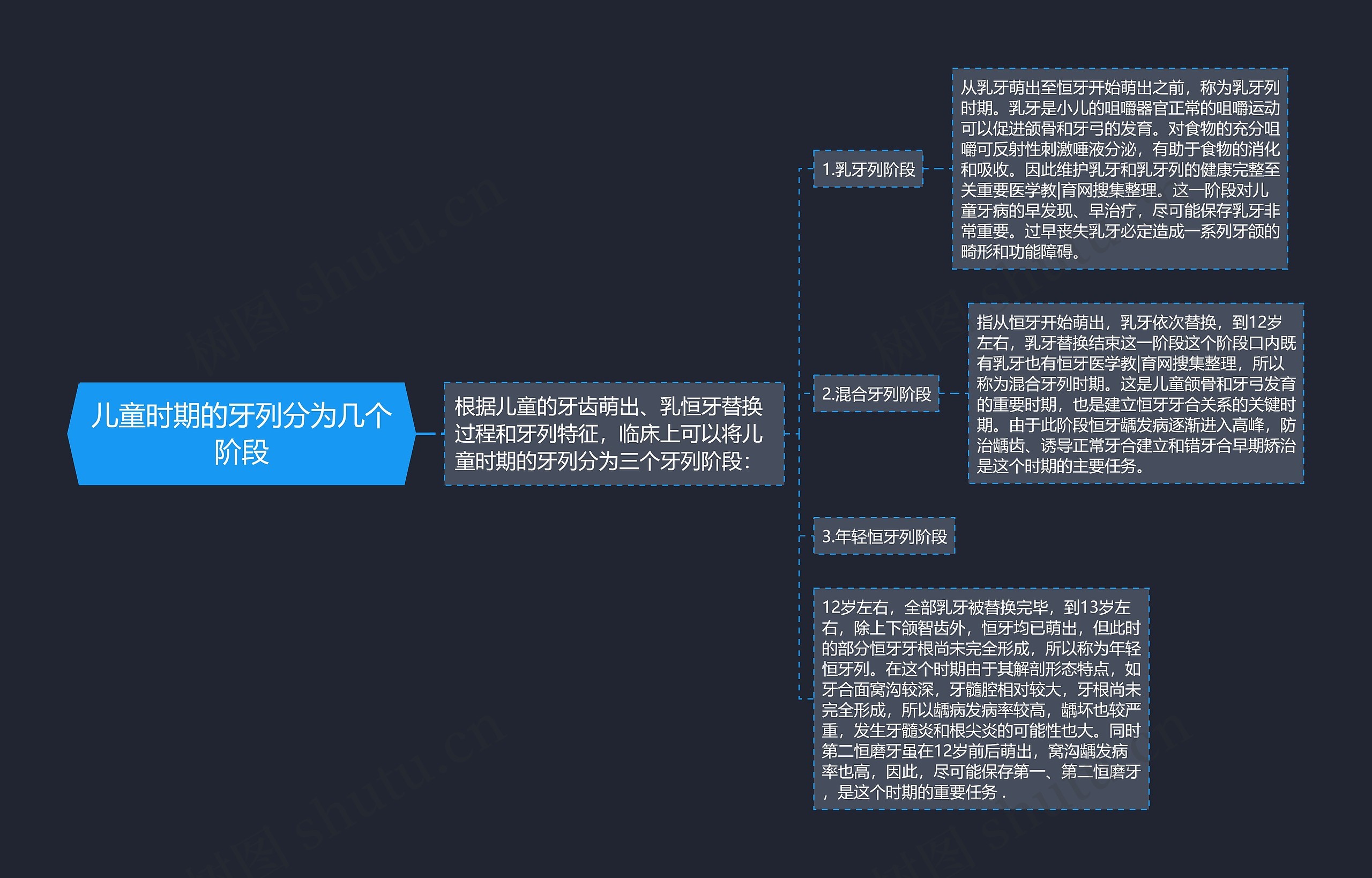 儿童时期的牙列分为几个阶段