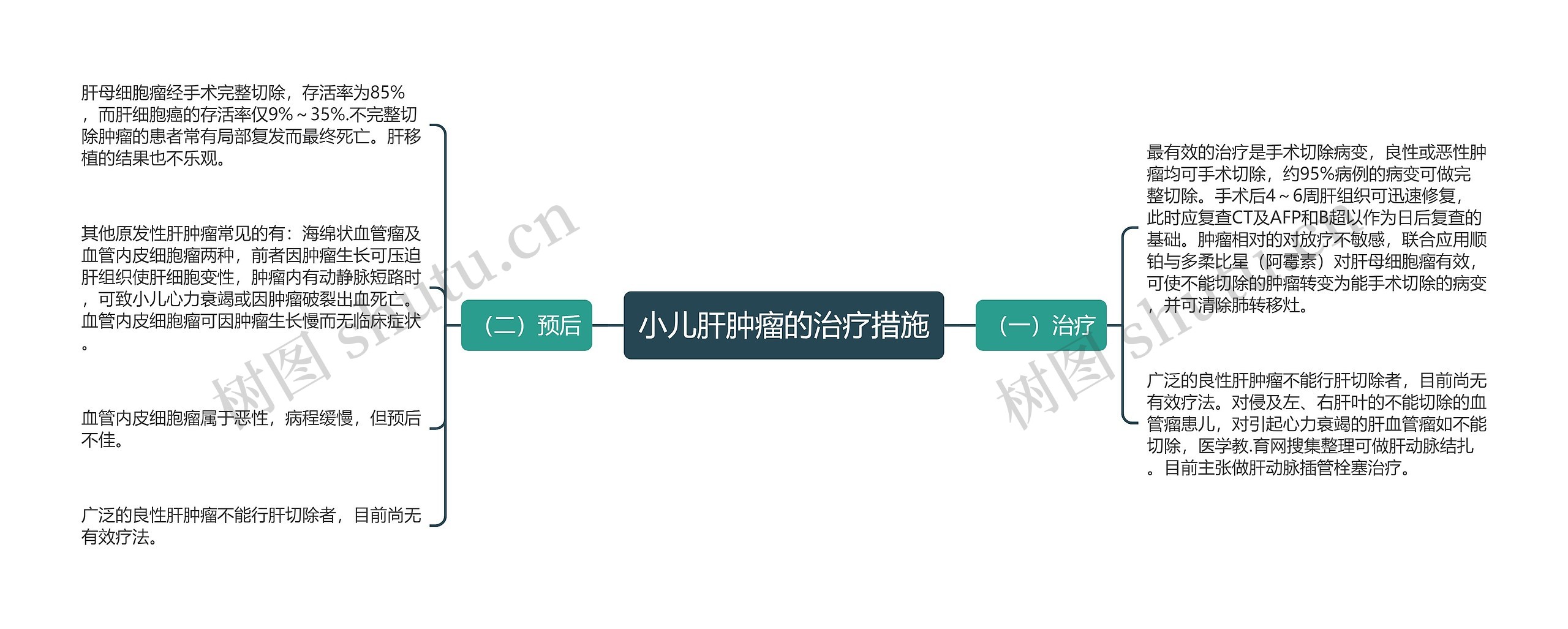 小儿肝肿瘤的治疗措施思维导图
