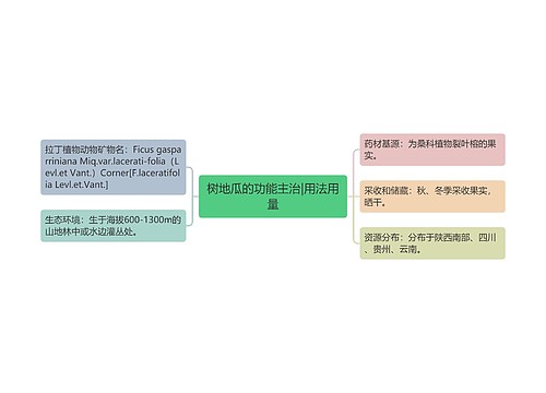 树地瓜的功能主治|用法用量