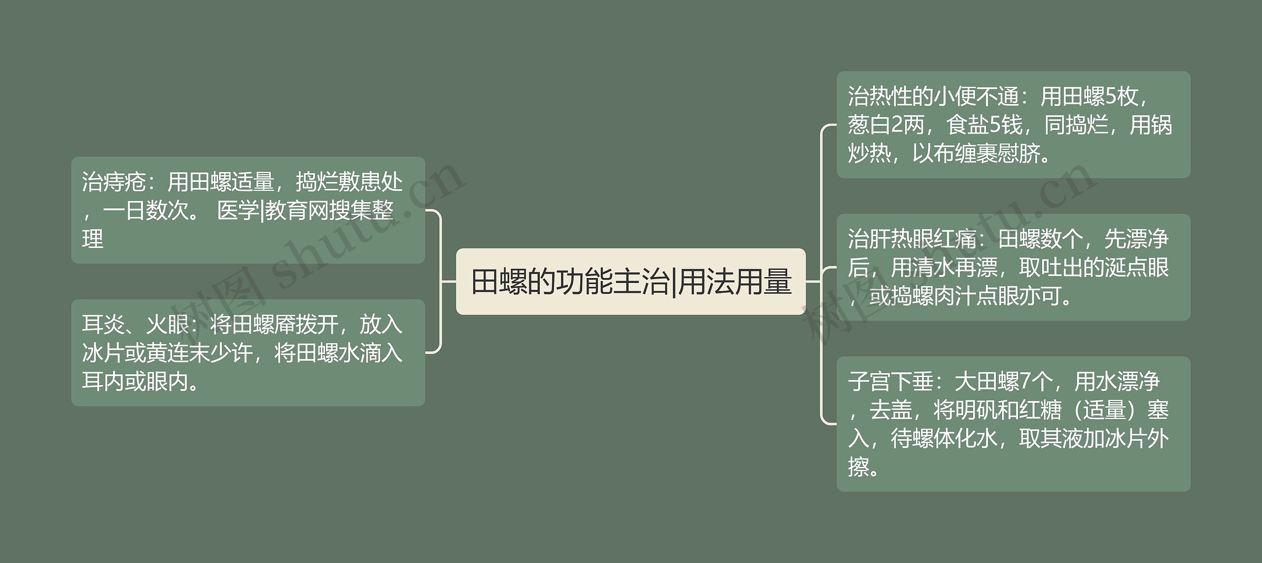 田螺的功能主治|用法用量