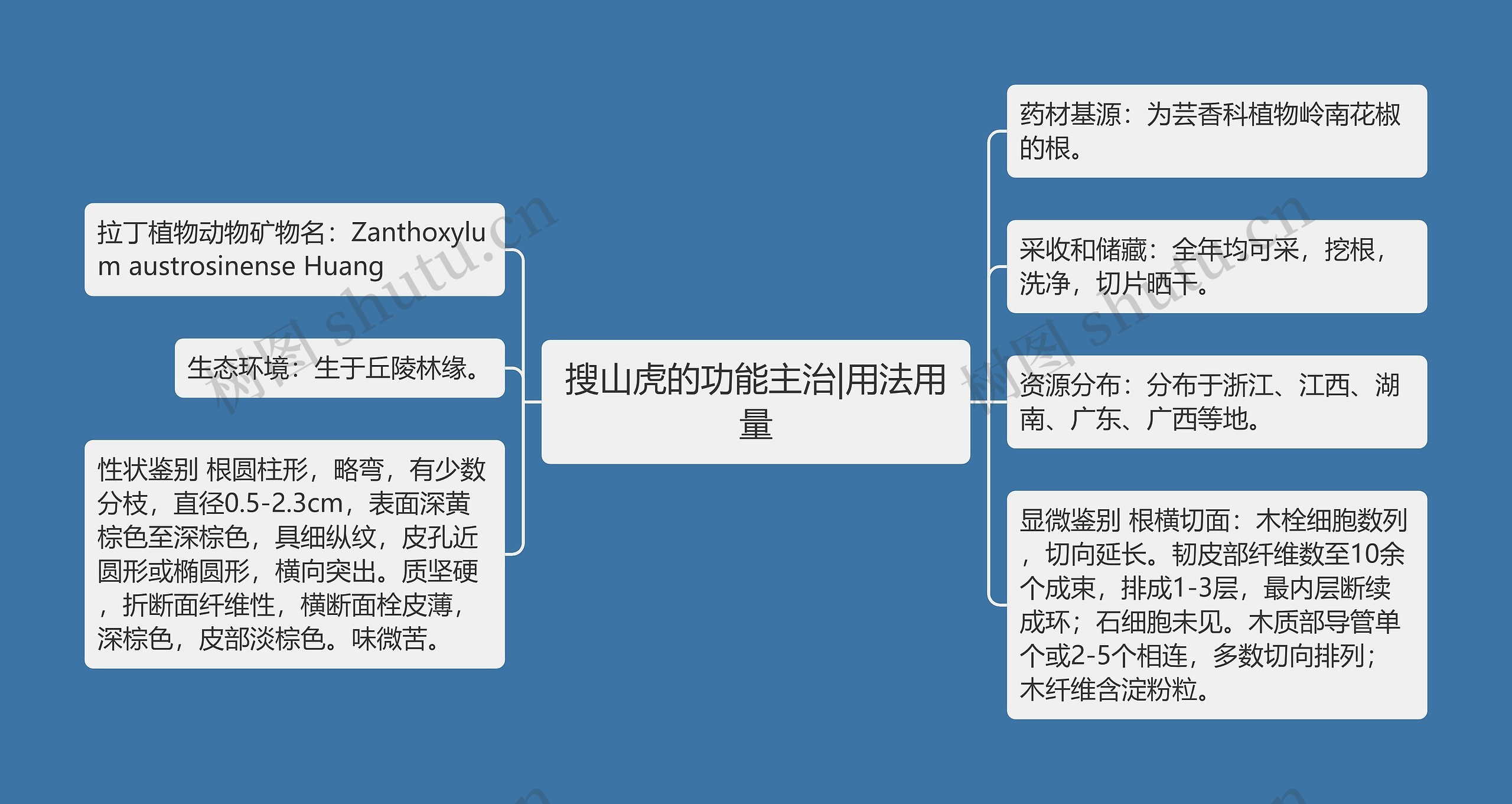 搜山虎的功能主治|用法用量