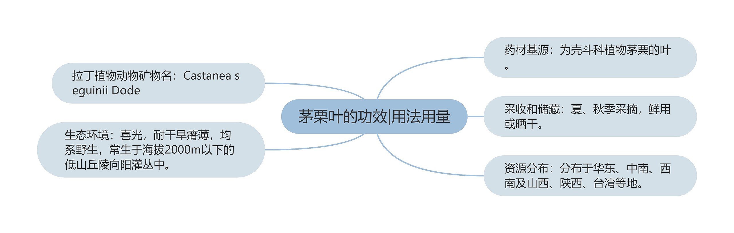 茅栗叶的功效|用法用量