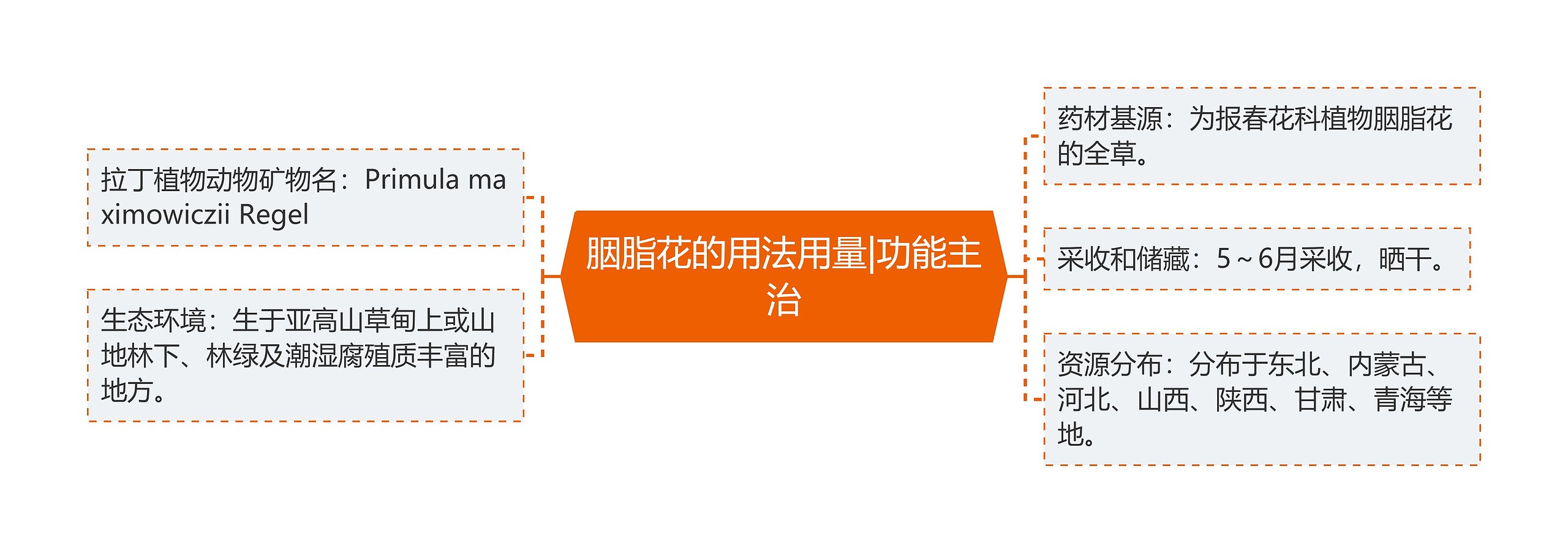 胭脂花的用法用量|功能主治 胭脂花的用法用量|功能主治