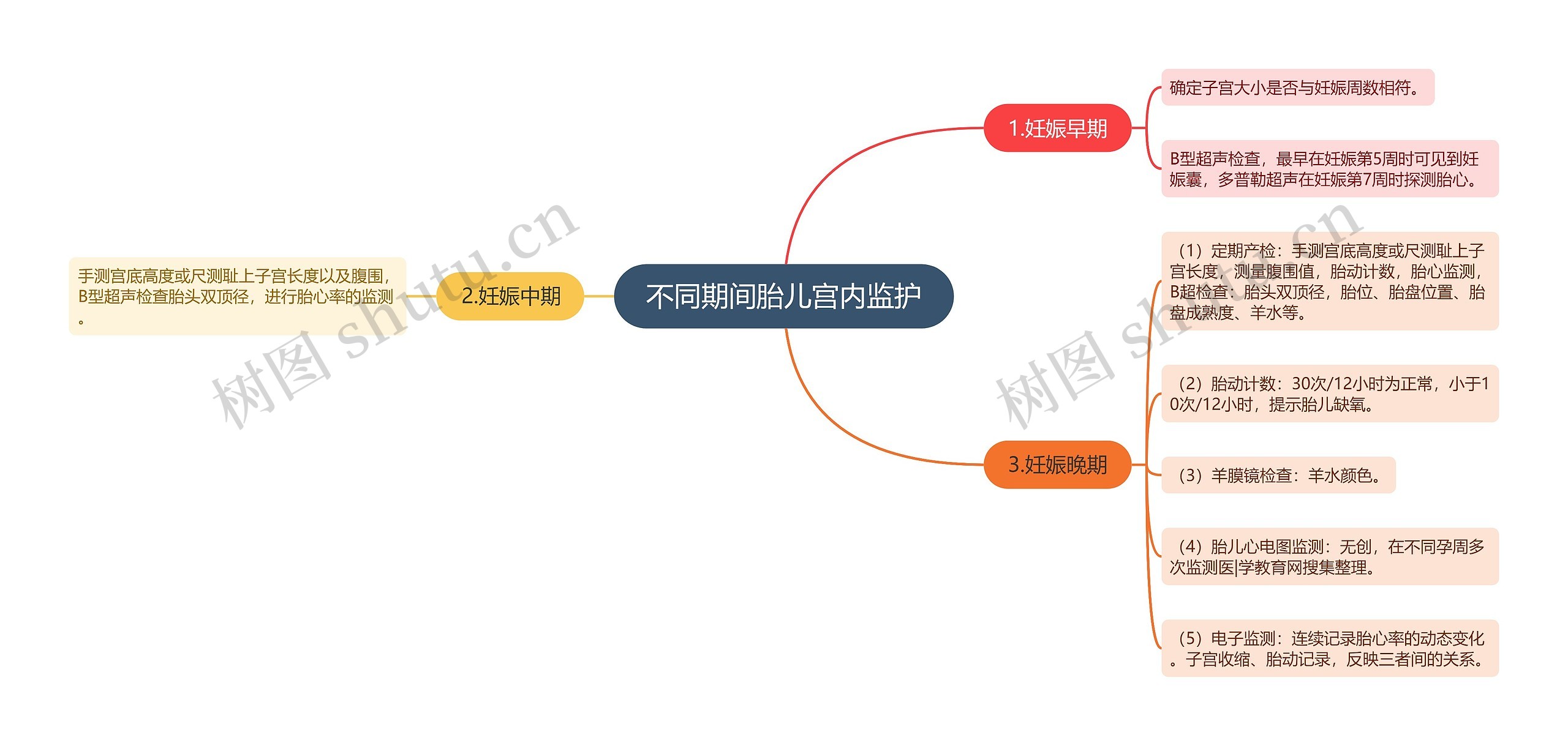 不同期间胎儿宫内监护思维导图