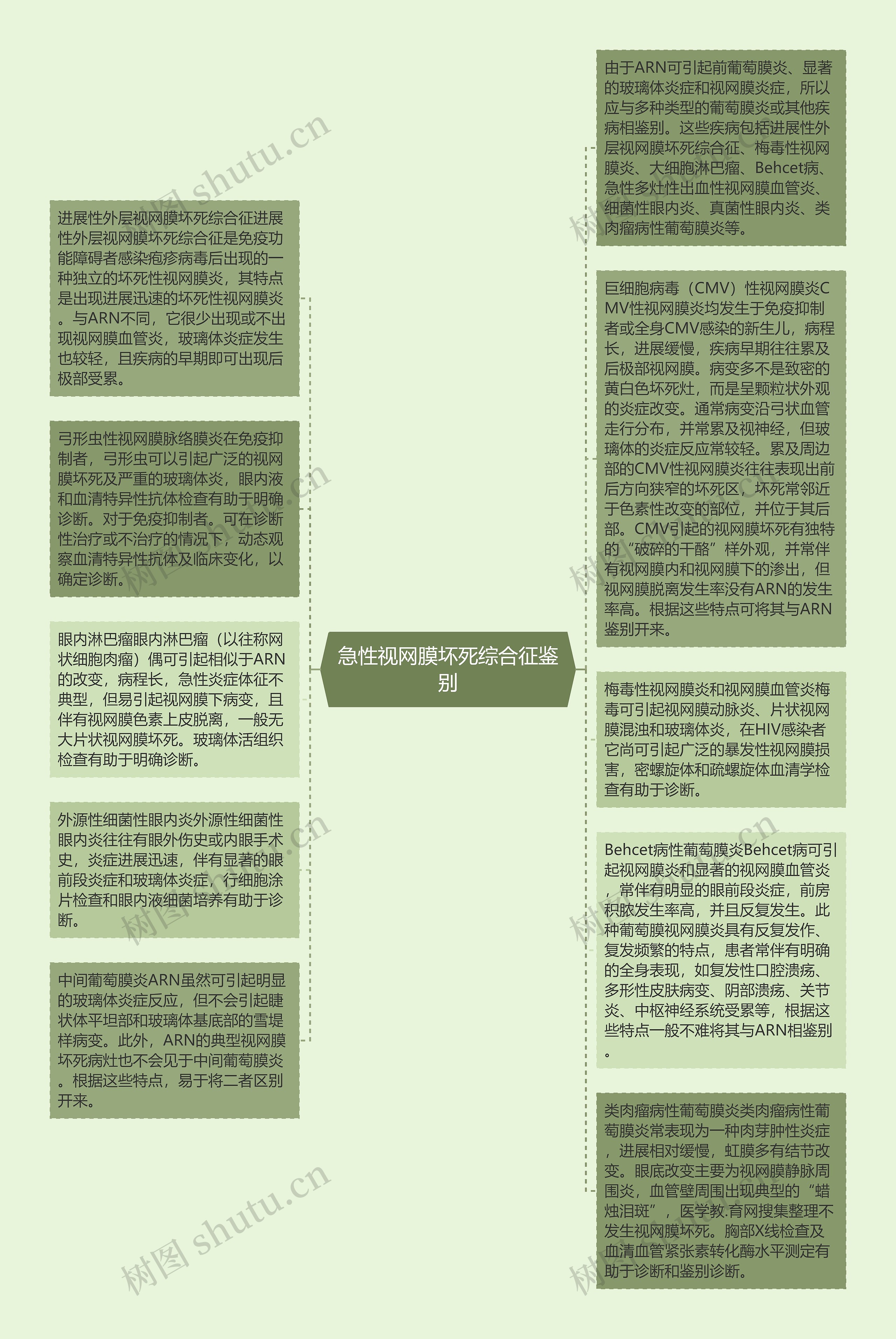 急性视网膜坏死综合征鉴别