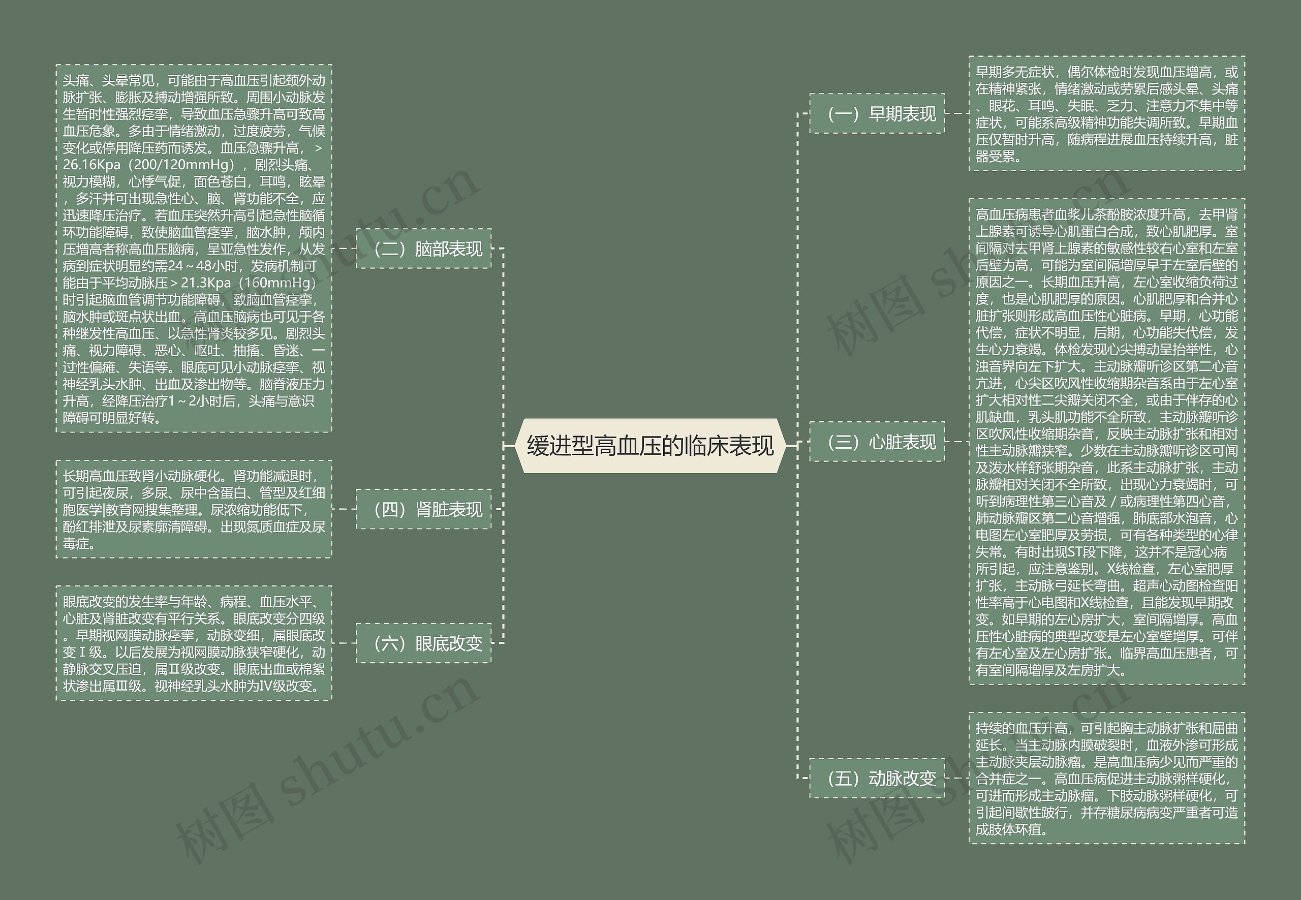 缓进型高血压的临床表现 缓进型高血压的临床表现