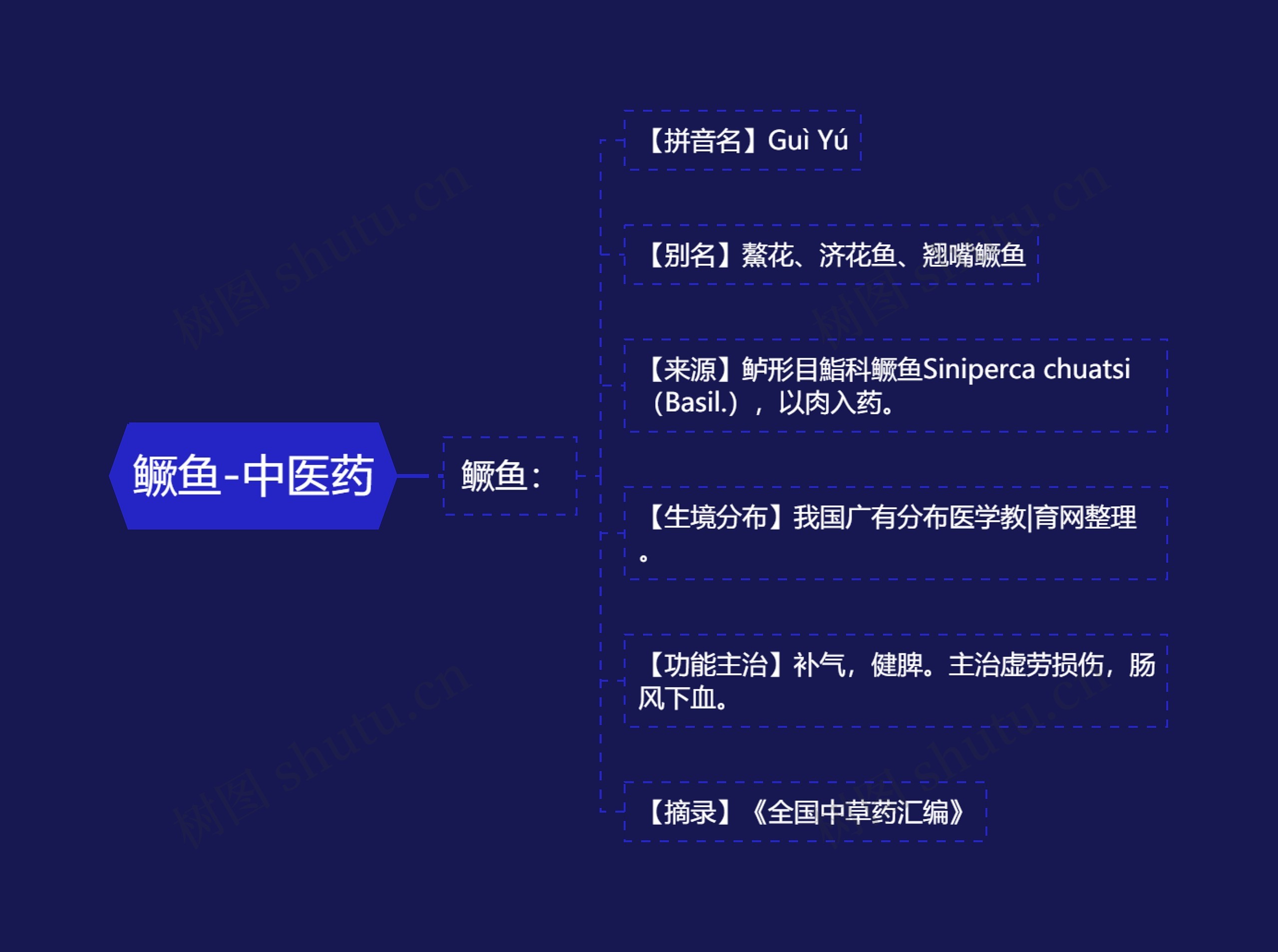 鳜鱼-中医药思维导图