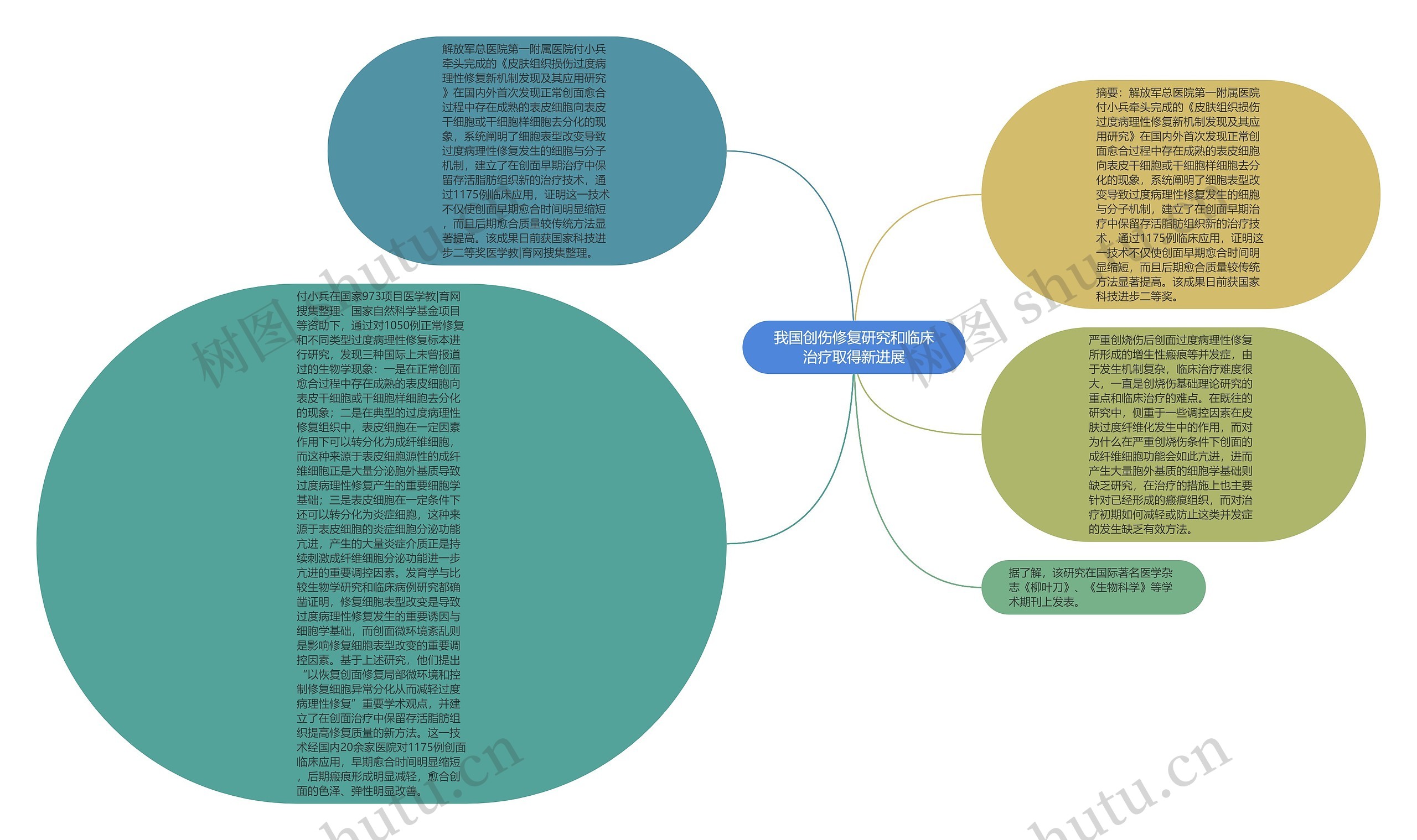 我国创伤修复研究和临床治疗取得新进展思维导图