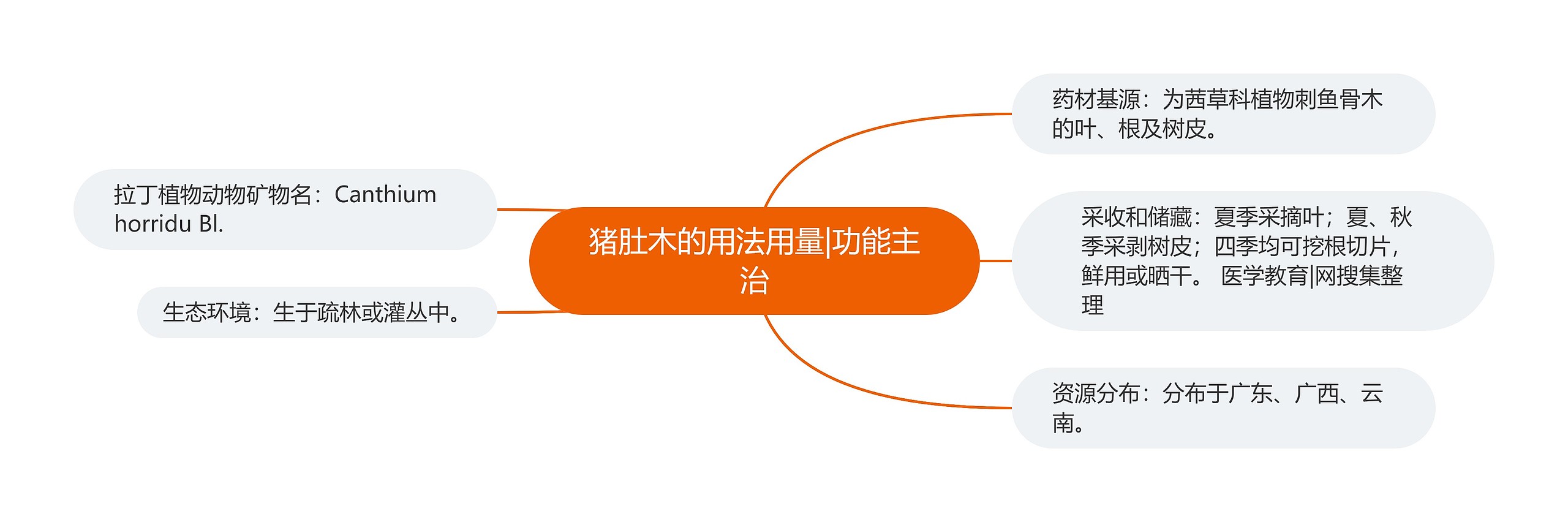 猪肚木的用法用量|功能主治