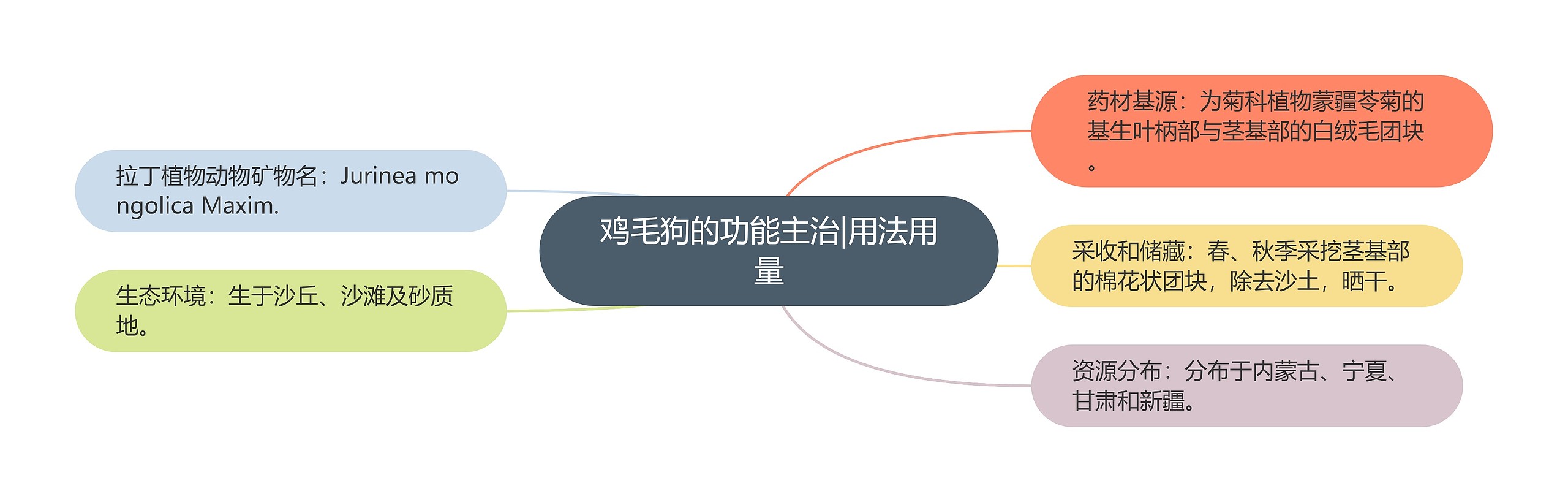 鸡毛狗的功能主治|用法用量 鸡毛狗的功能主治|用法用量