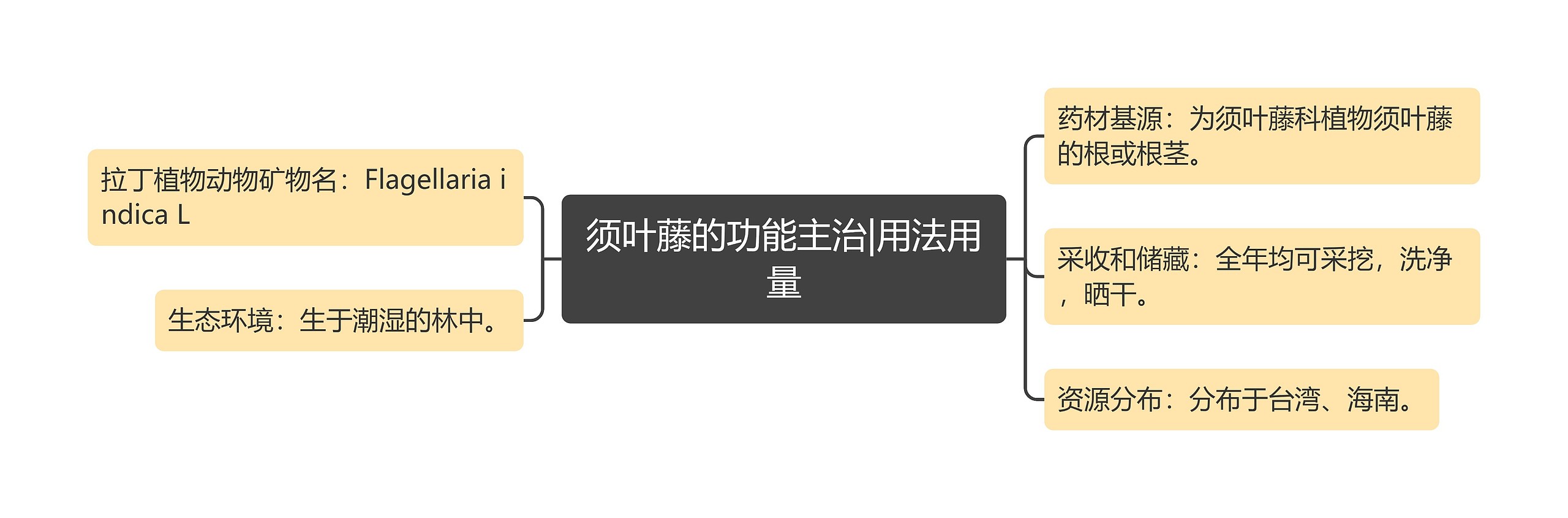 须叶藤的功能主治|用法用量思维导图