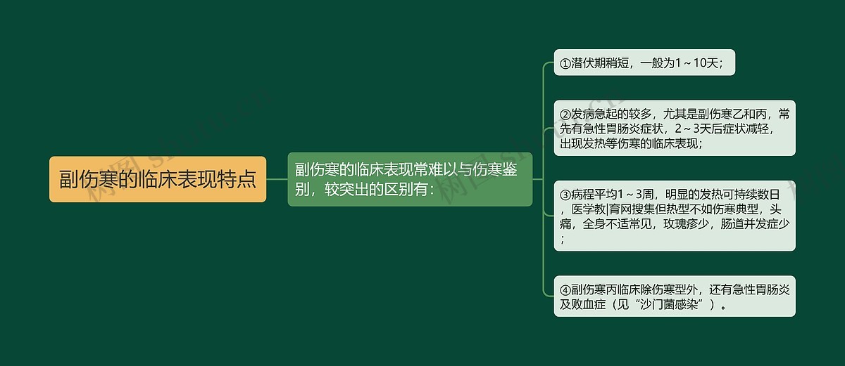 副伤寒的临床表现特点思维导图_编号p6853984-TreeMind树图