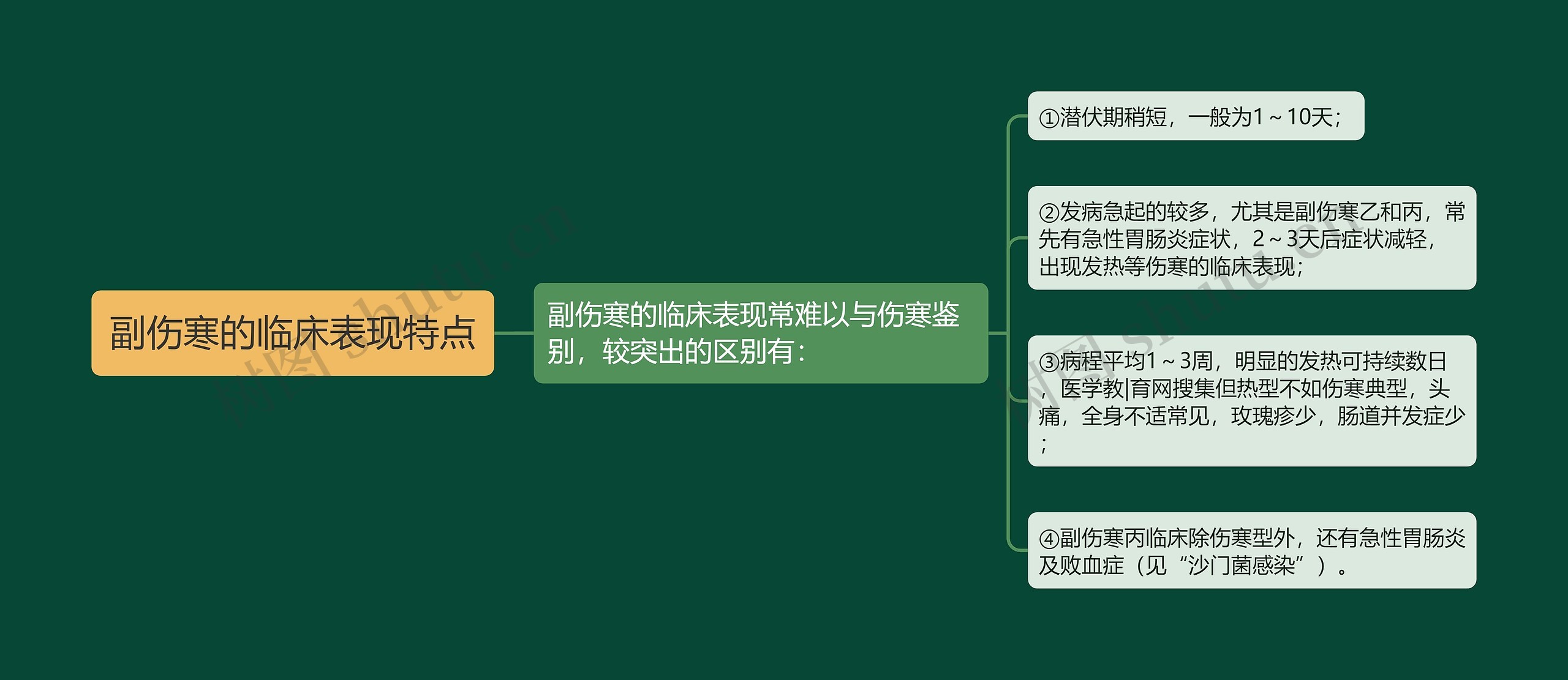 副伤寒的临床表现特点思维导图