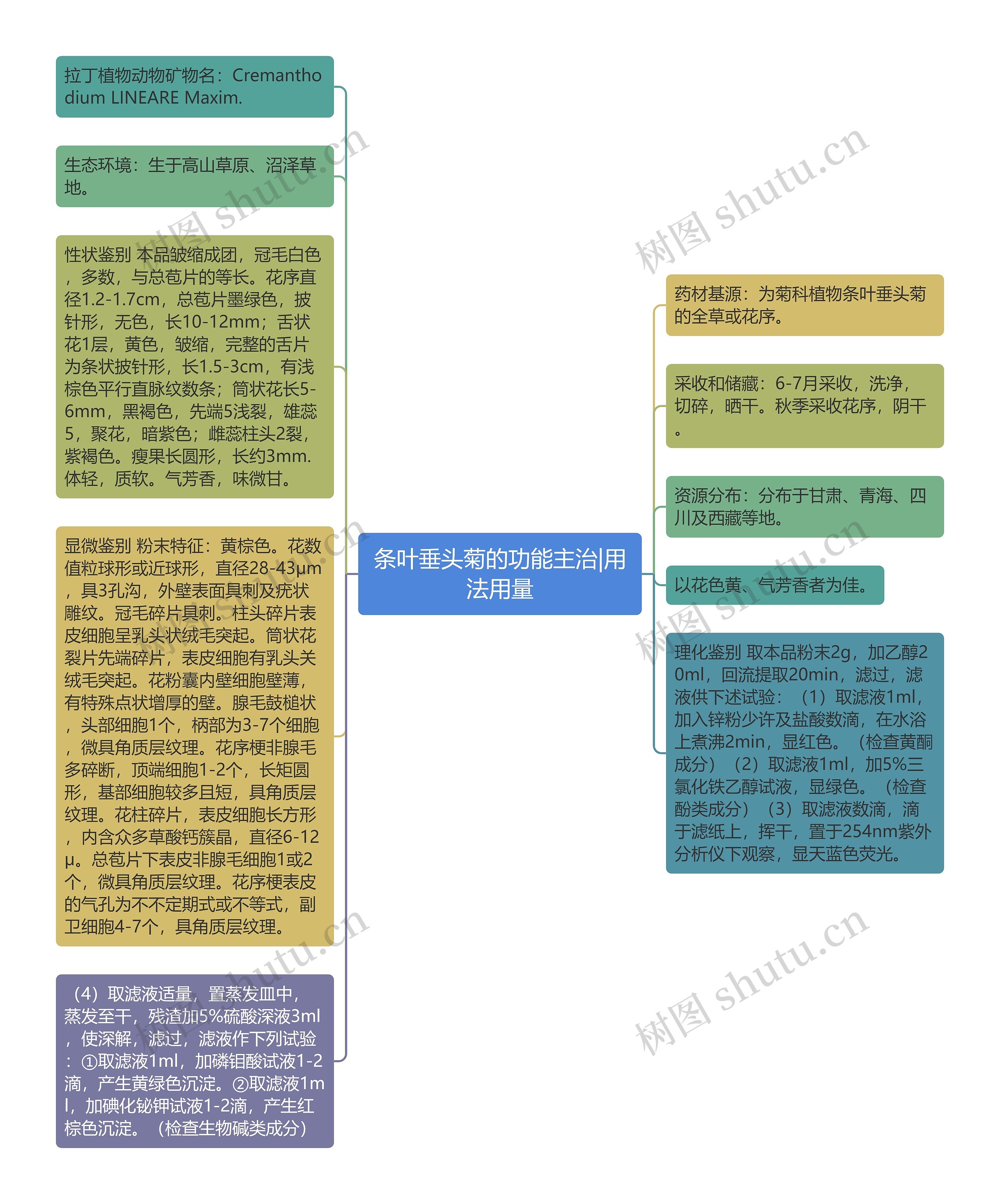 条叶垂头菊的功能主治|用法用量