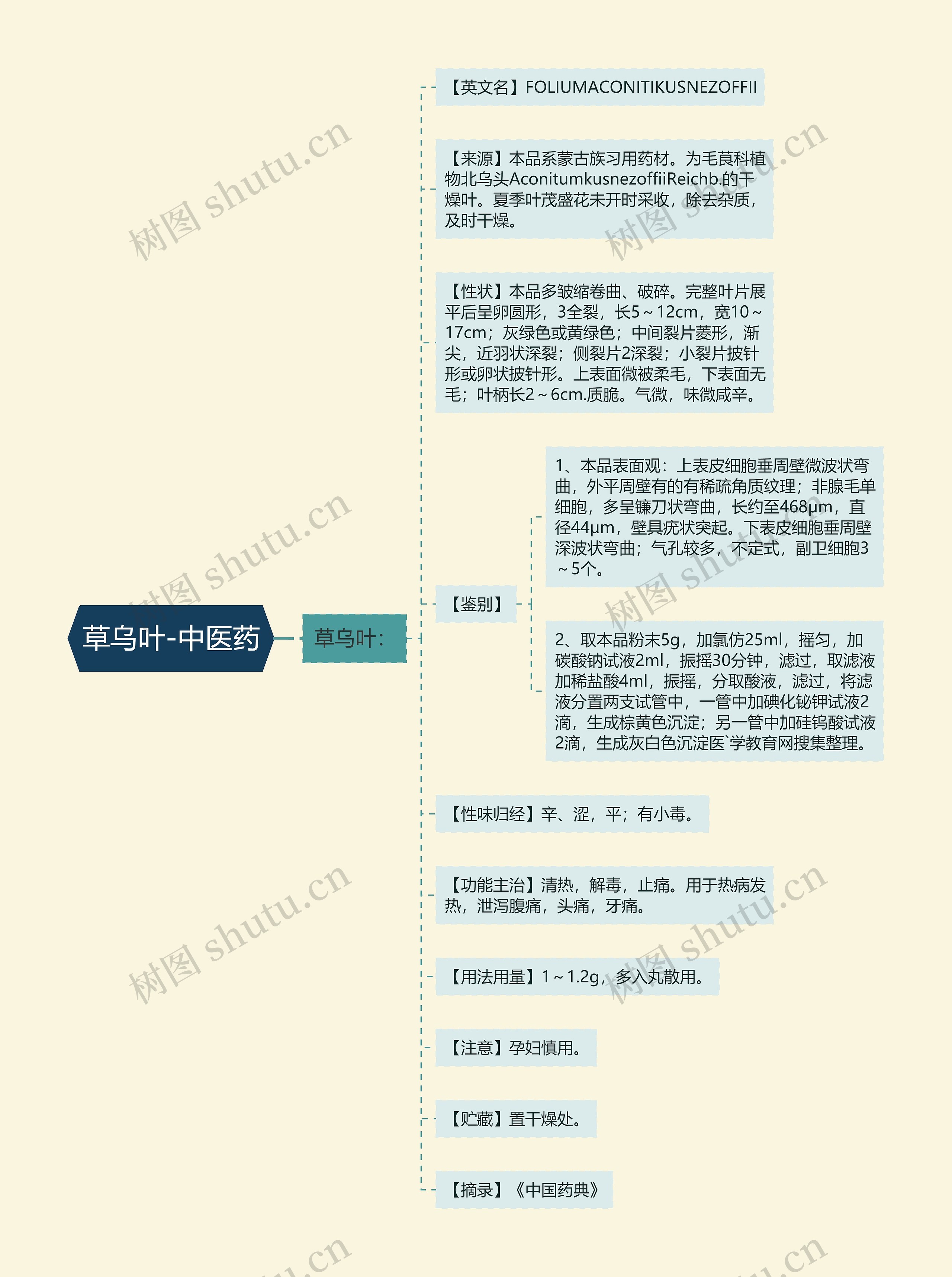 草乌叶-中医药思维导图