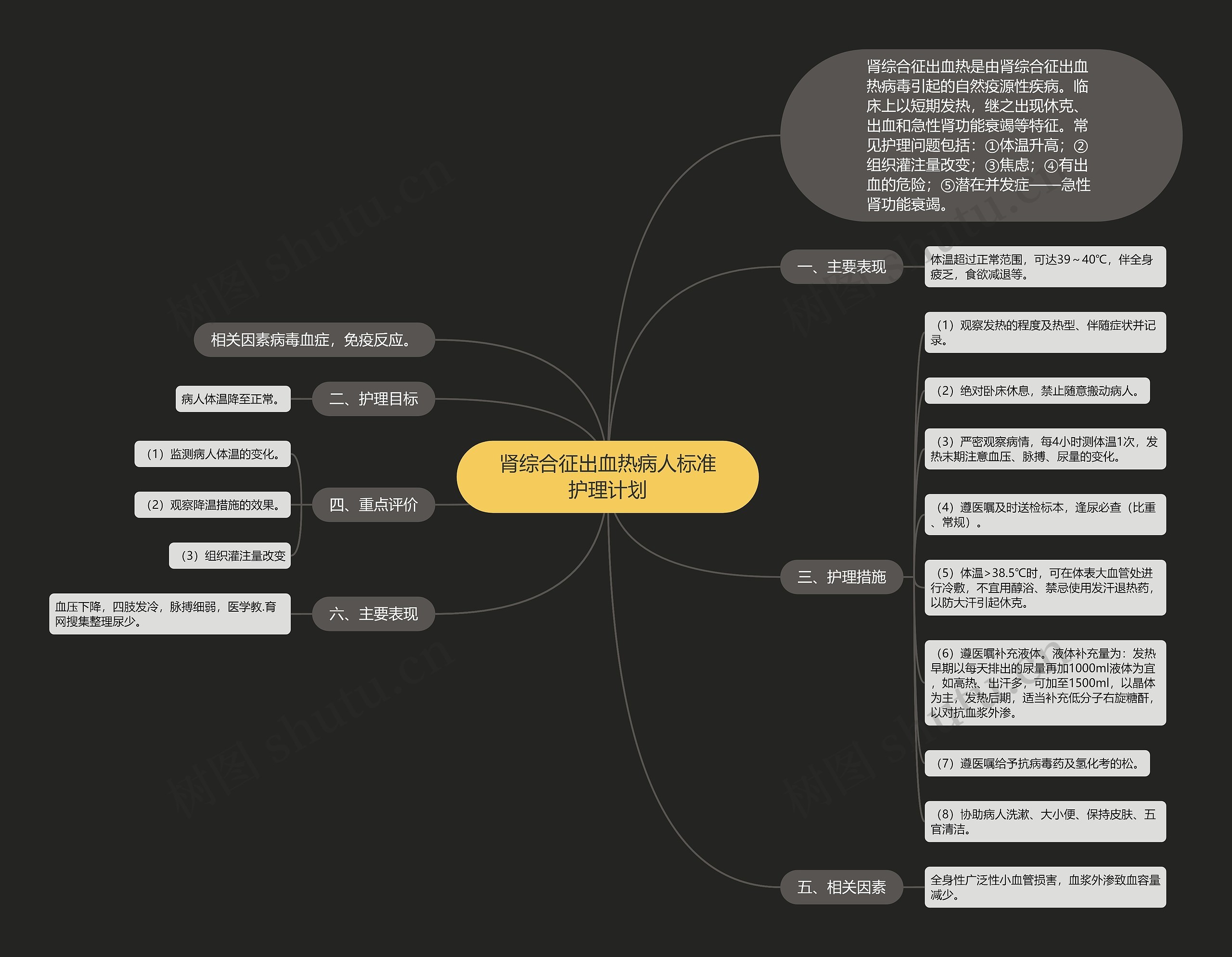 肾综合征出血热病人标准护理计划思维导图