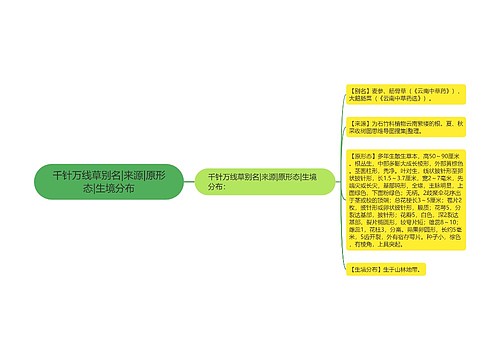 千针万线草别名|来源|原形态|生境分布