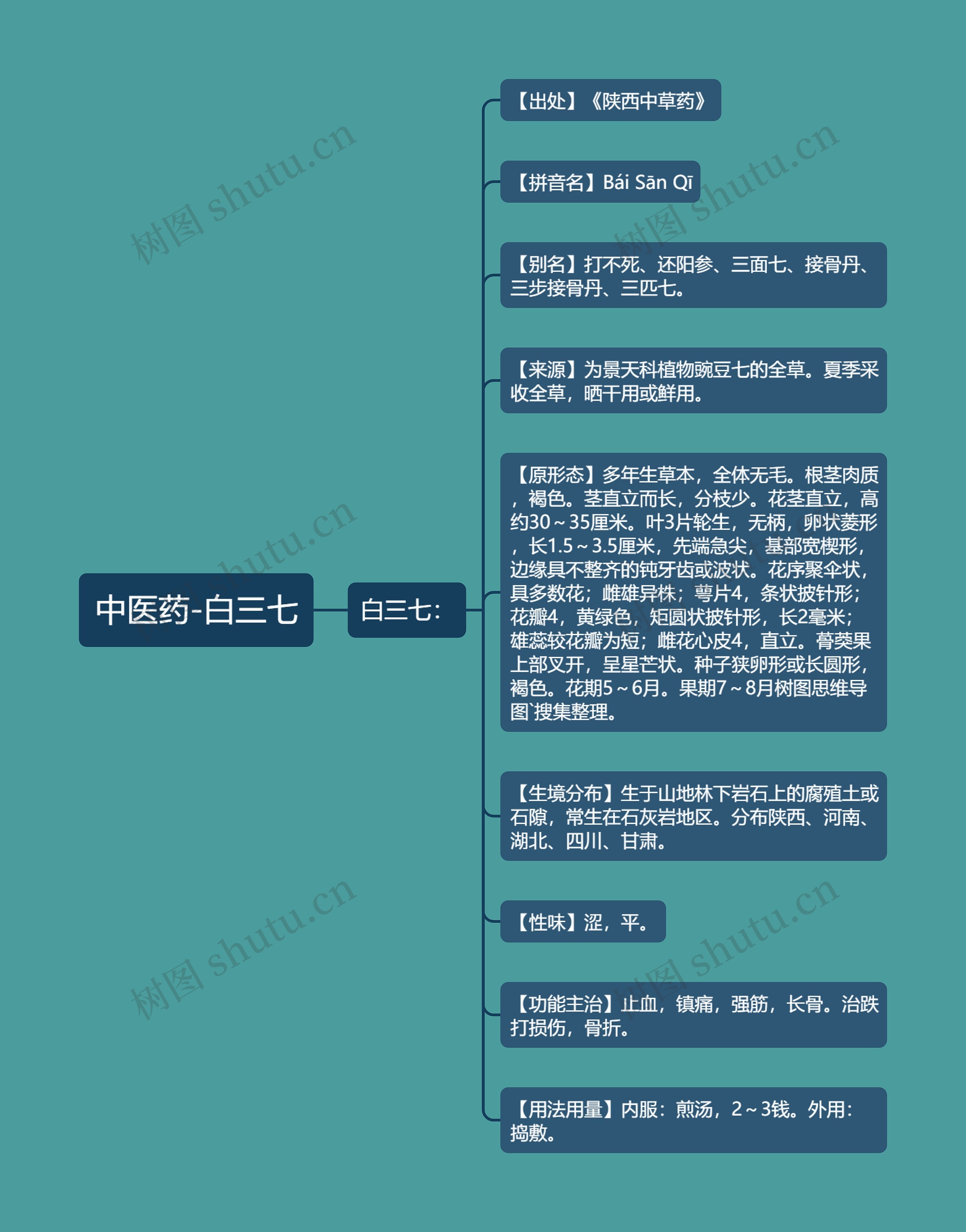 中医药-白三七 中医药-白三七