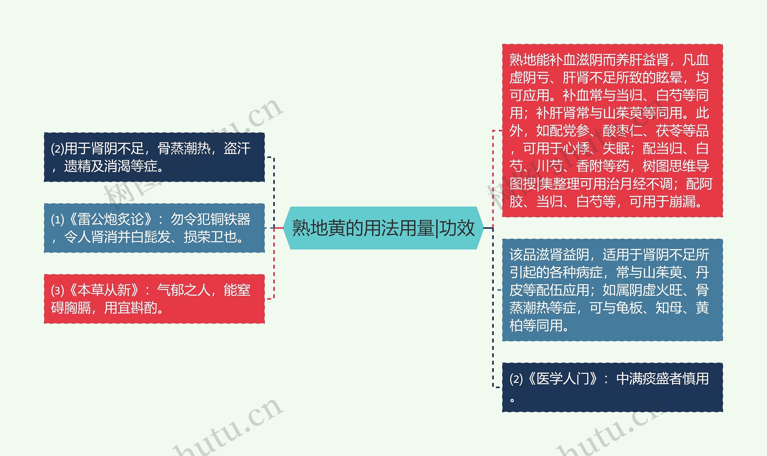 熟地黄的用法用量|功效思维导图