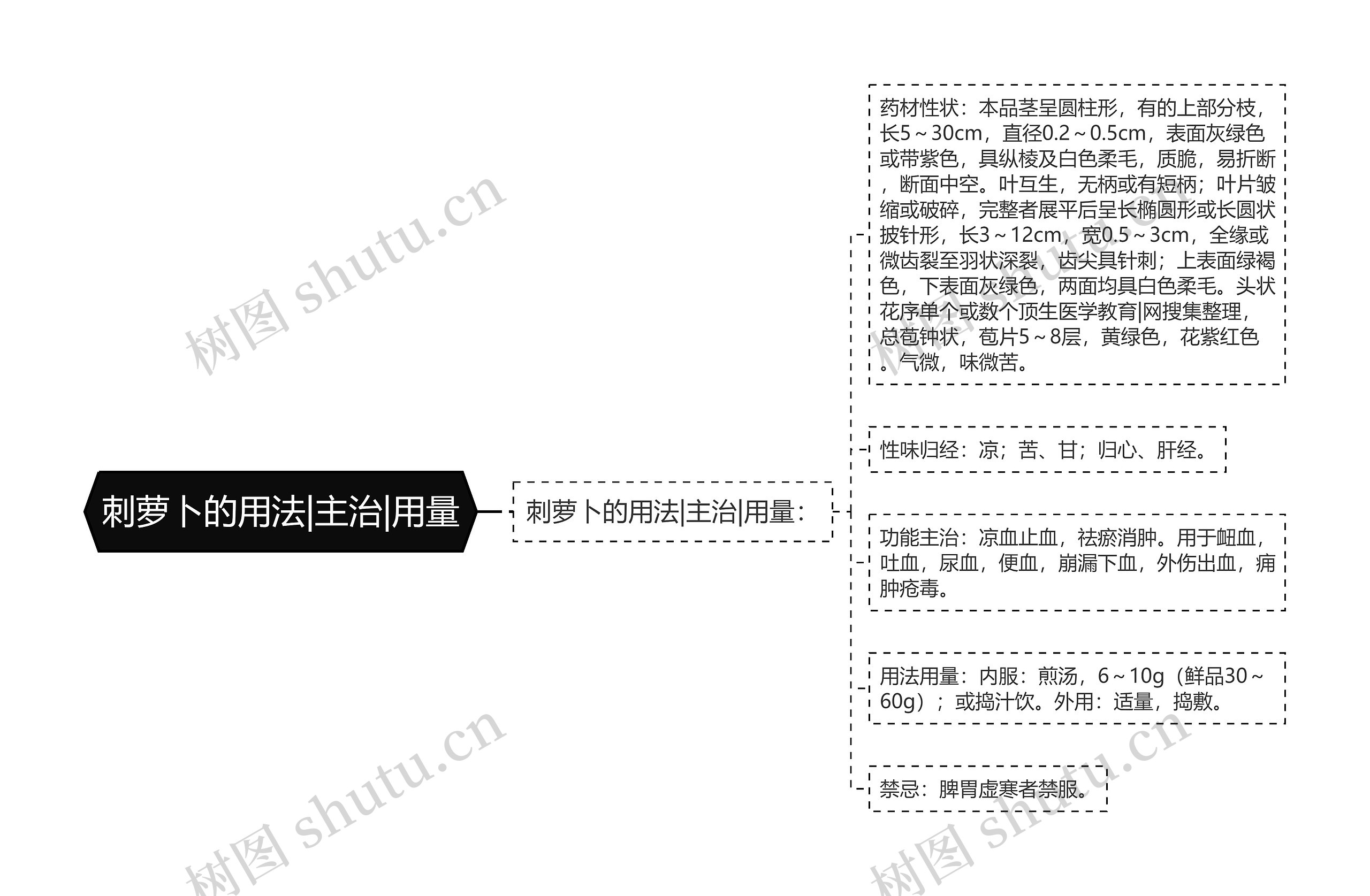 刺萝卜的用法|主治|用量思维导图