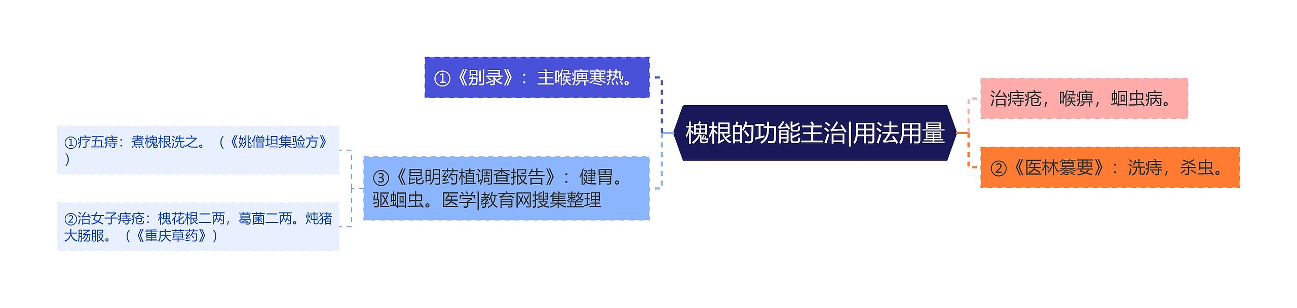 槐根的功能主治|用法用量