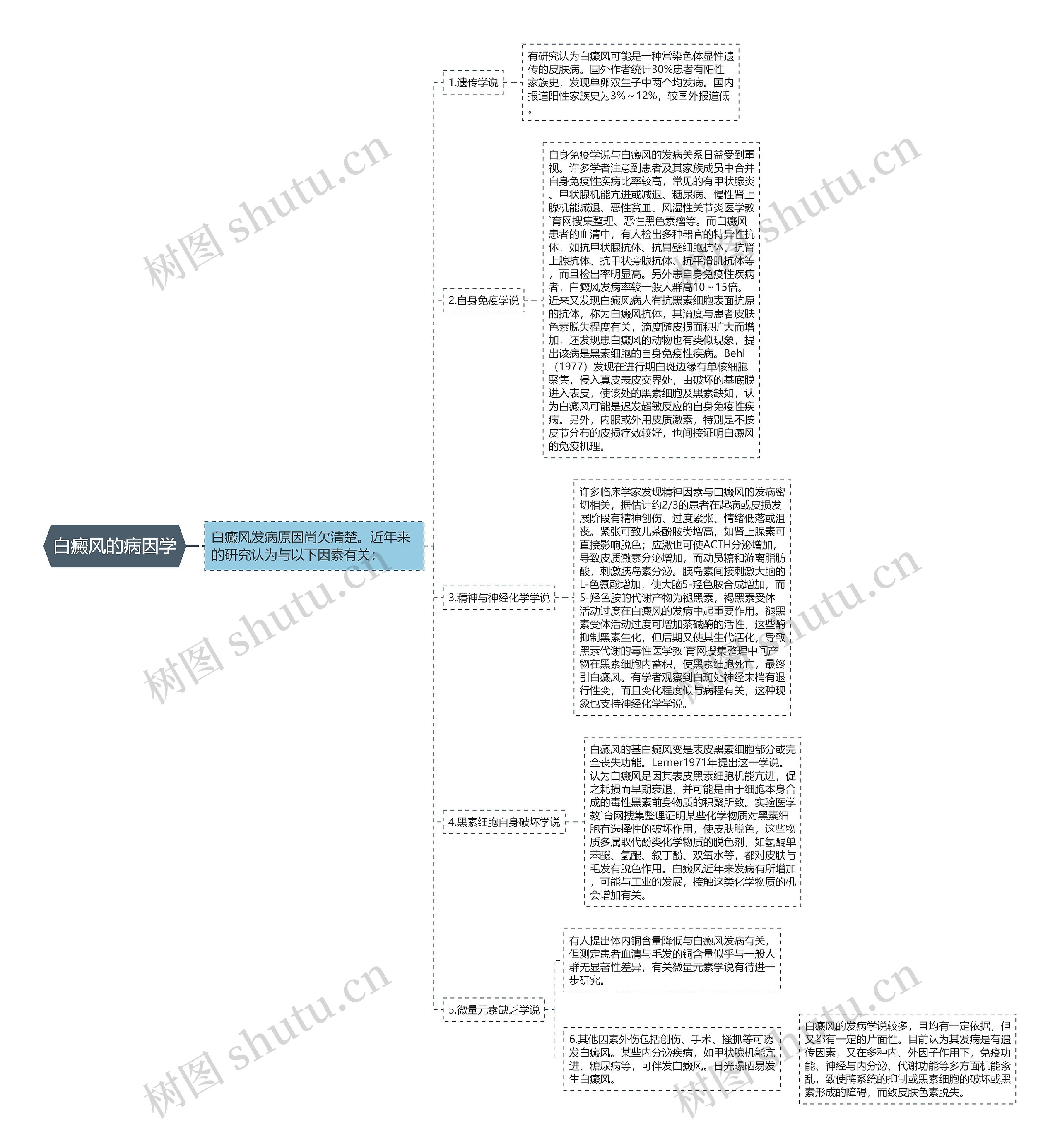 白癜风的病因学思维导图