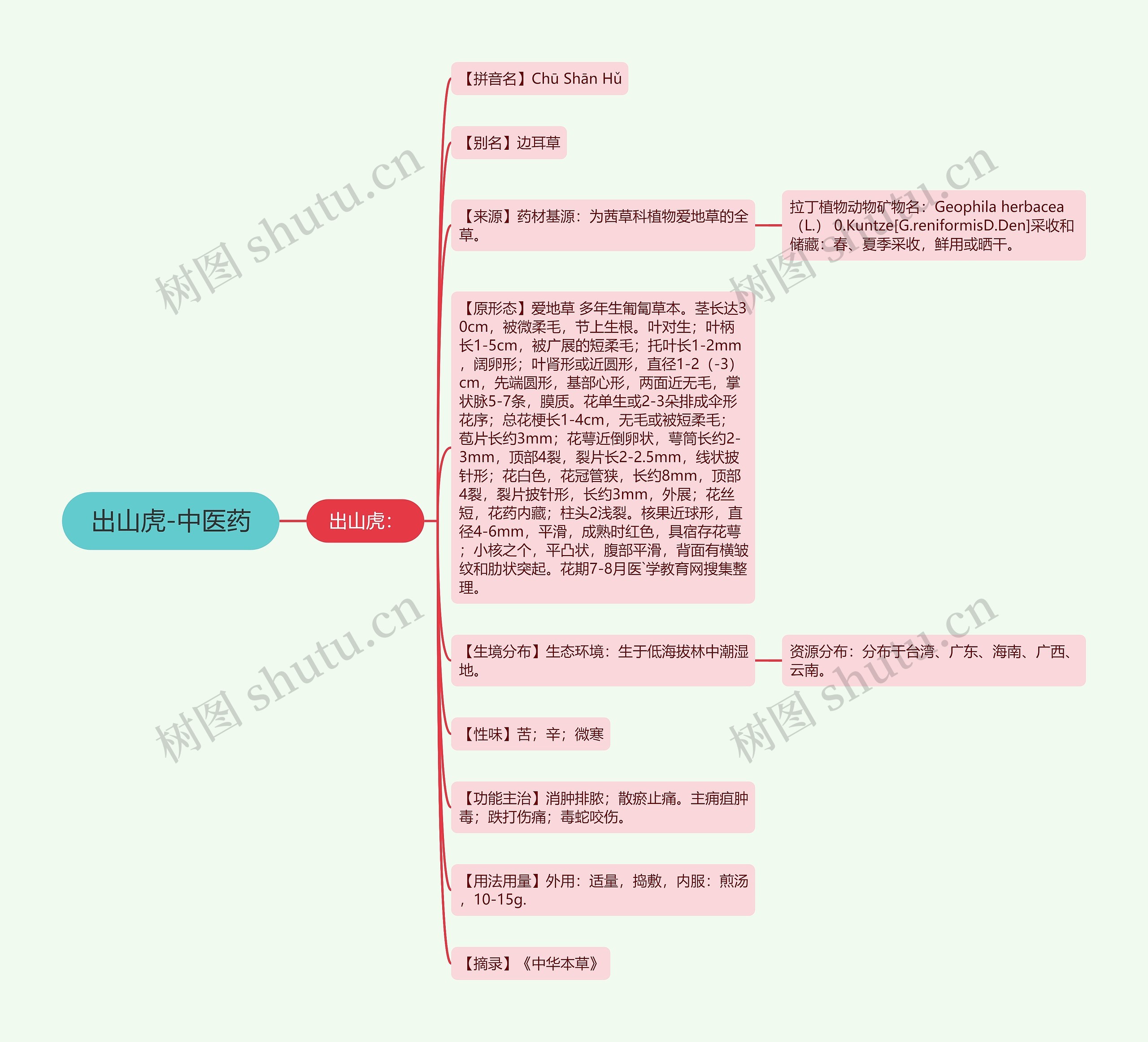 出山虎-中医药 出山虎-中医药