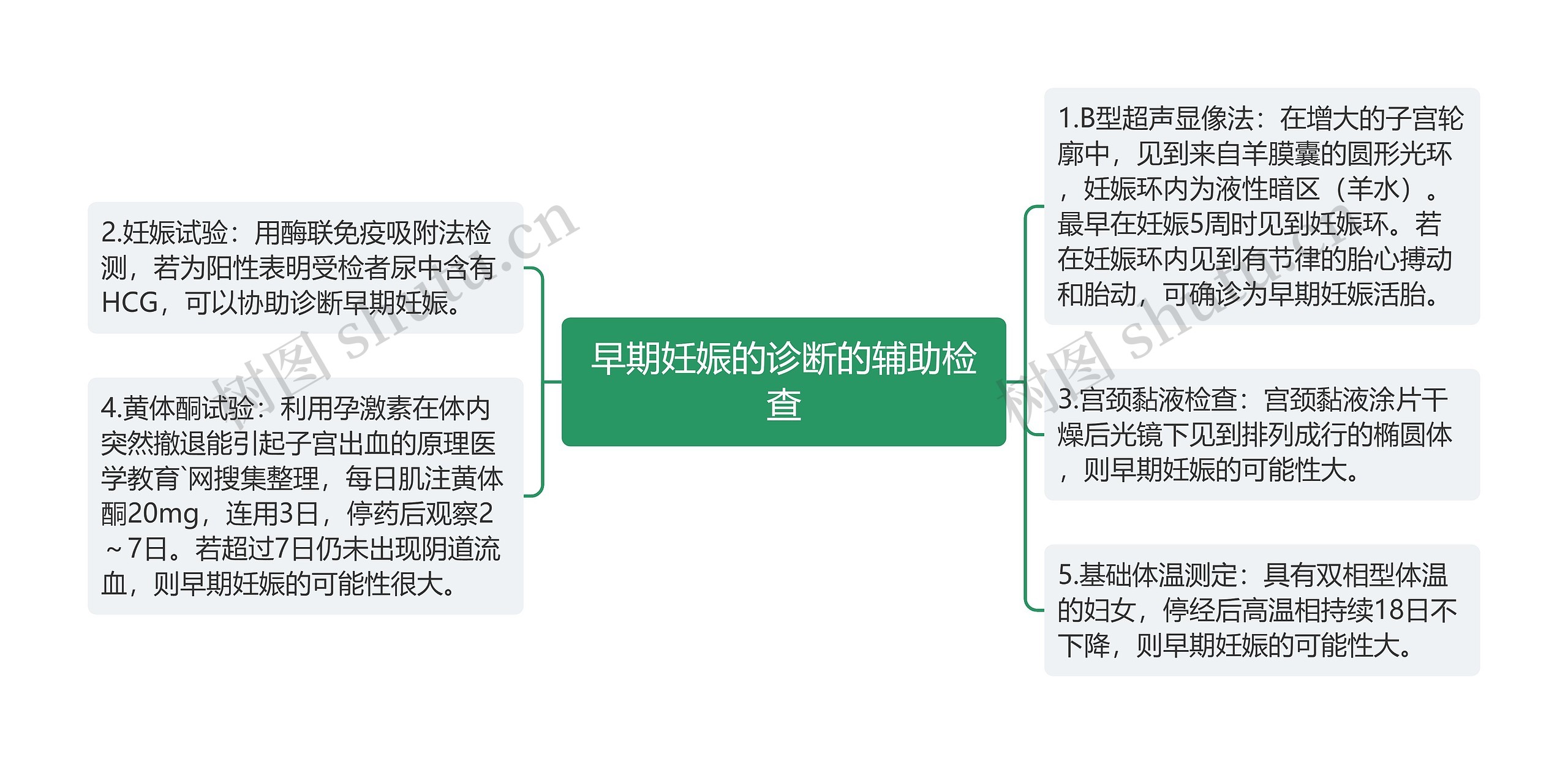 早期妊娠的诊断的辅助检查思维导图