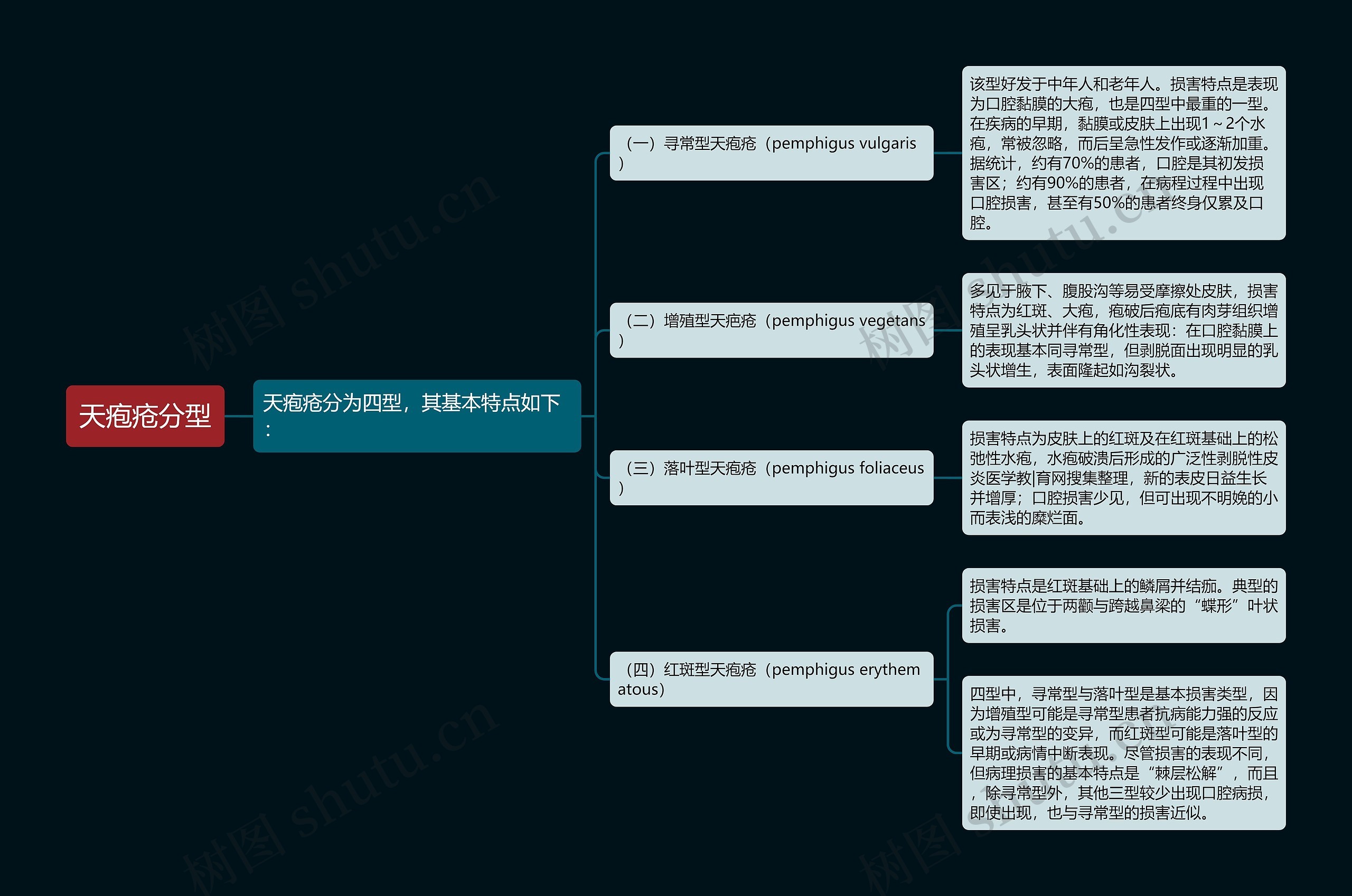 天疱疮分型