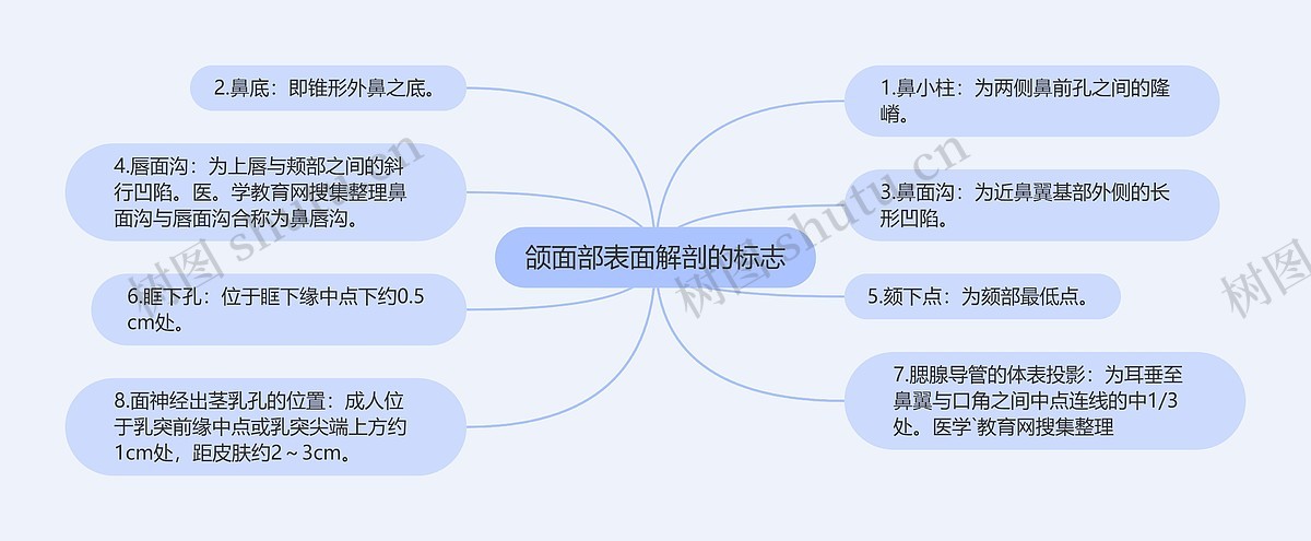 颌面部表面解剖的标志思维导图_编号p6832519-TreeMind树图