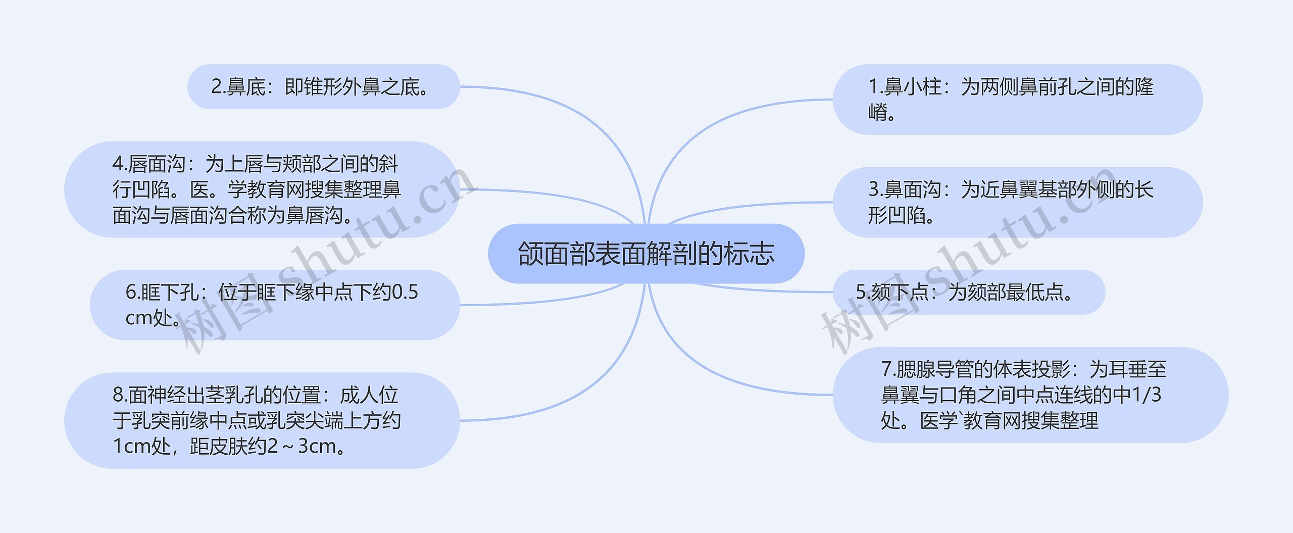 颌面部表面解剖的标志思维导图